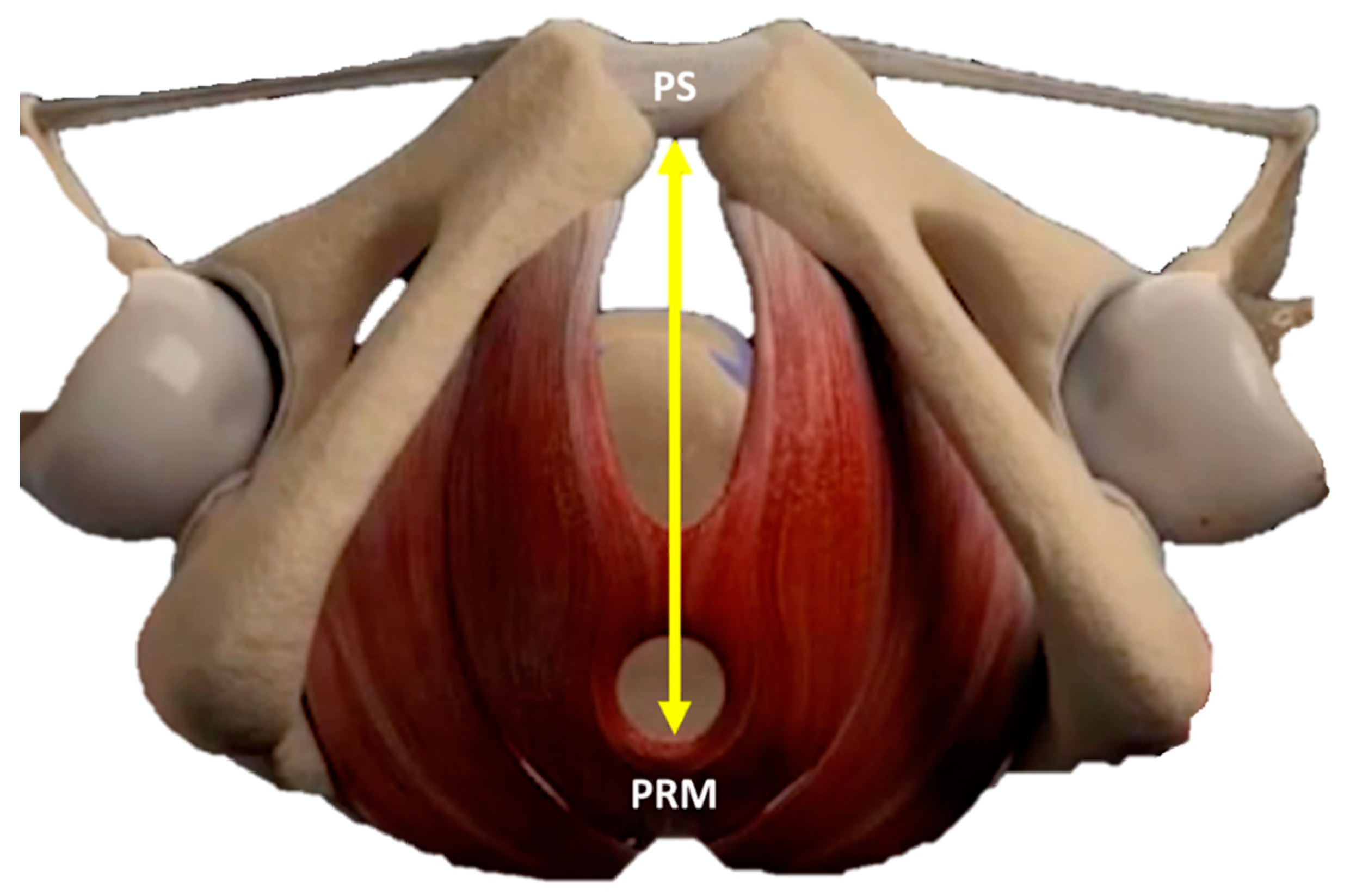 Medicina 59 00879 g004