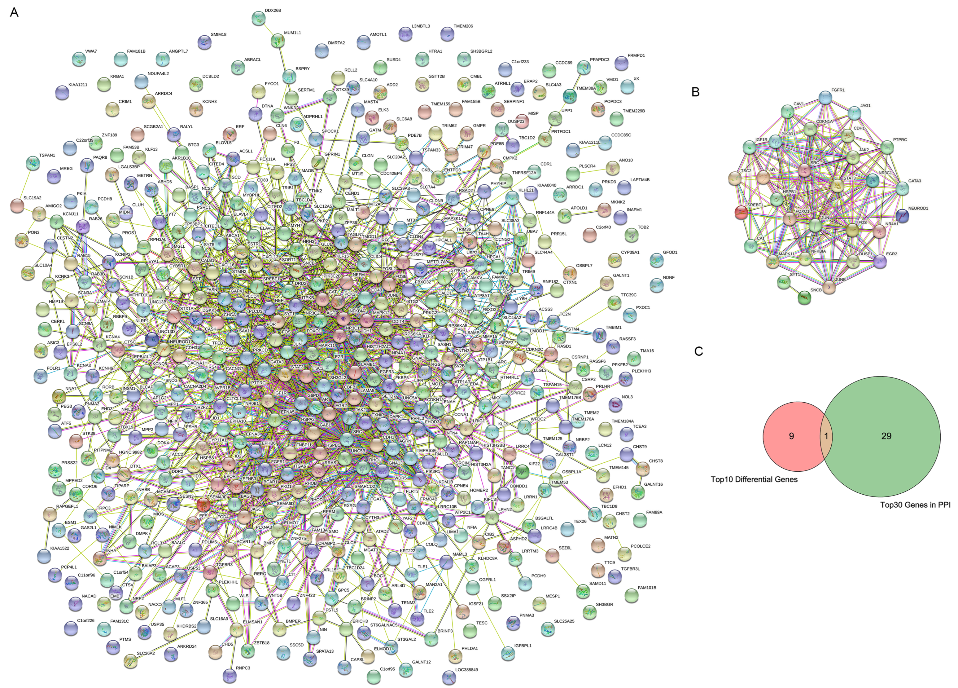 Medicina 59 00885 g003