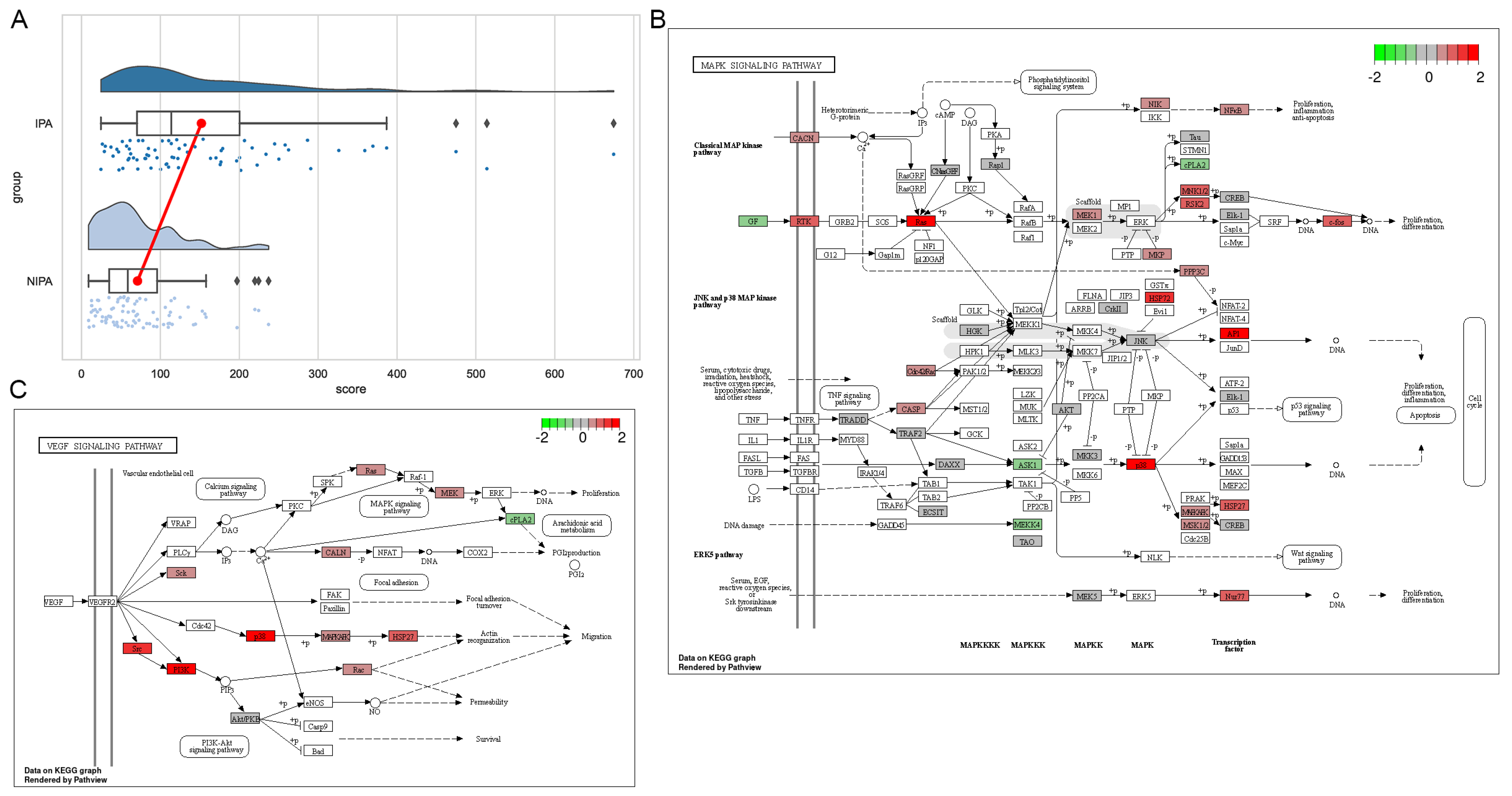 Medicina 59 00885 g004
