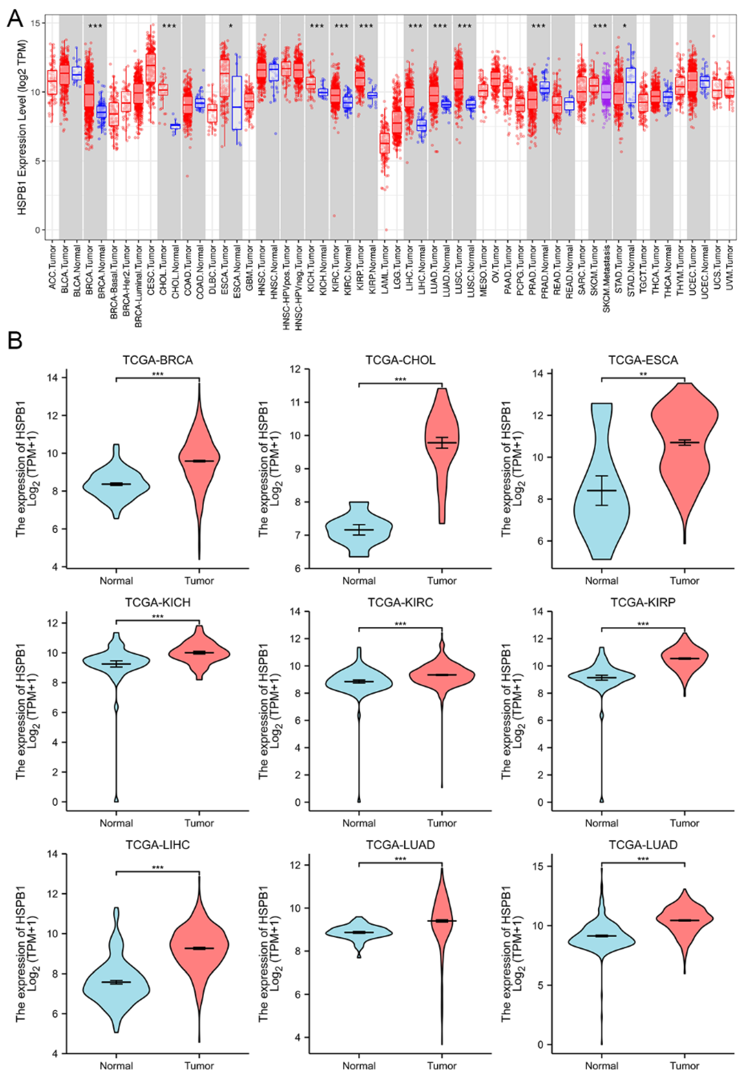 Medicina 59 00885 g005