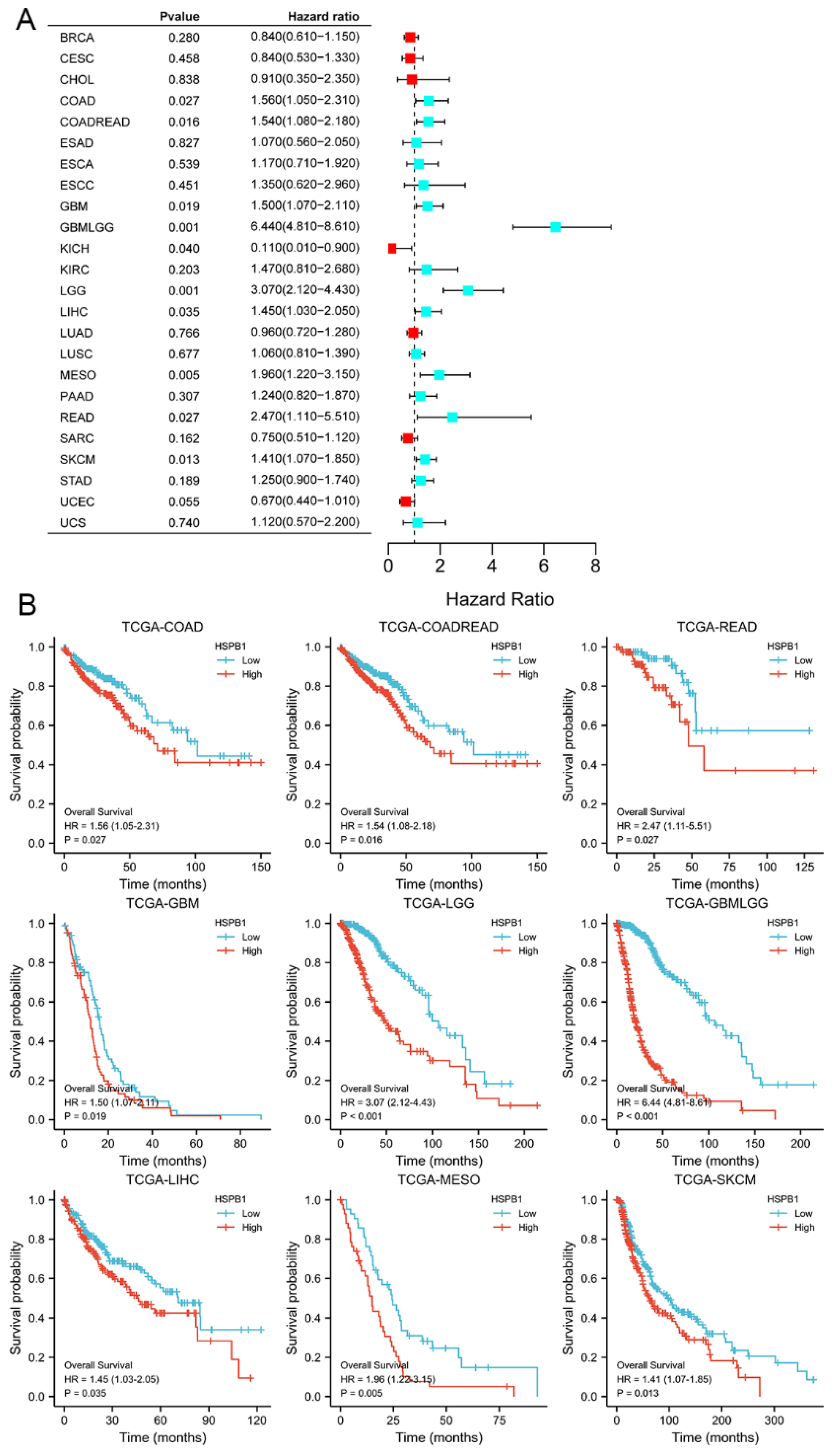 Medicina 59 00885 g007