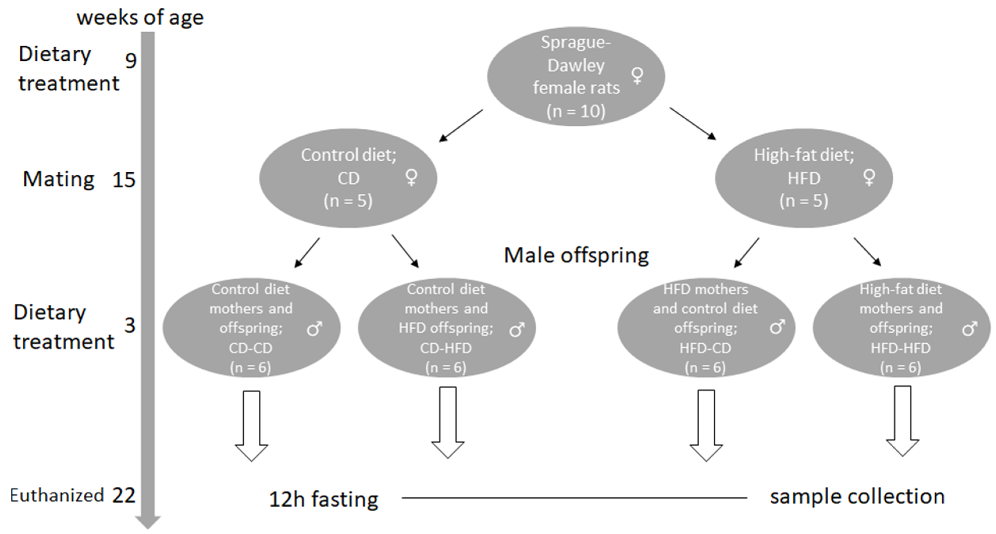 Medicina 59 00888 g001