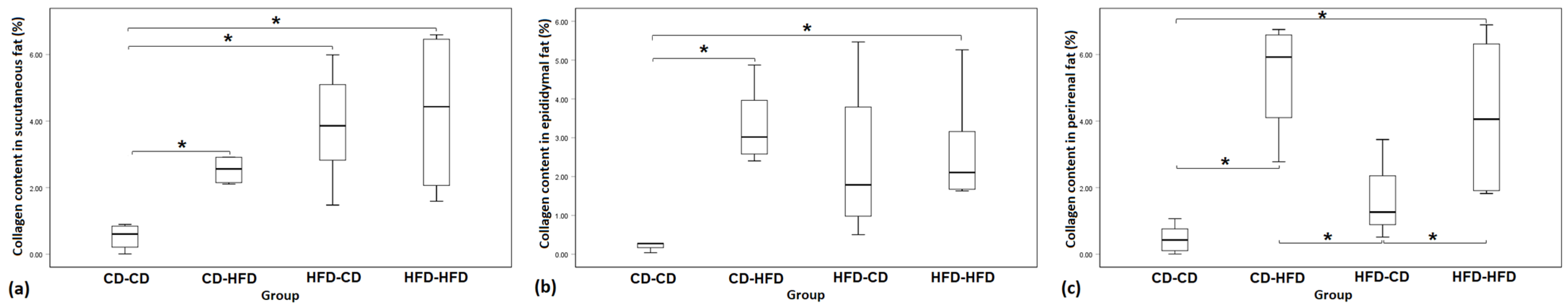 Medicina 59 00888 g002