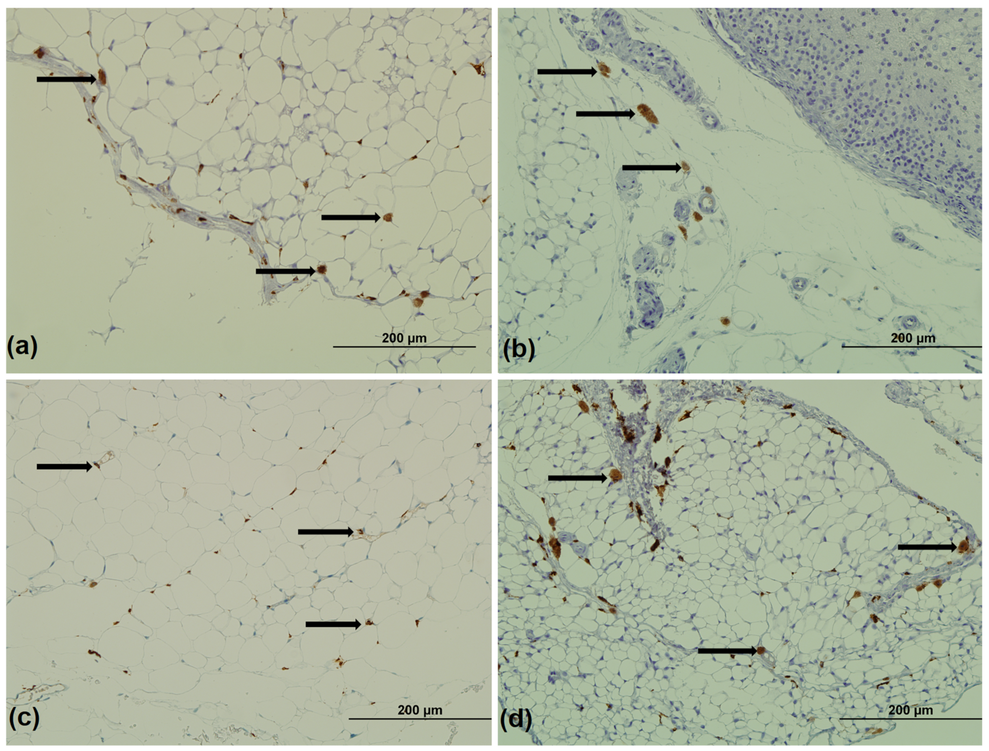 Medicina 59 00888 g004