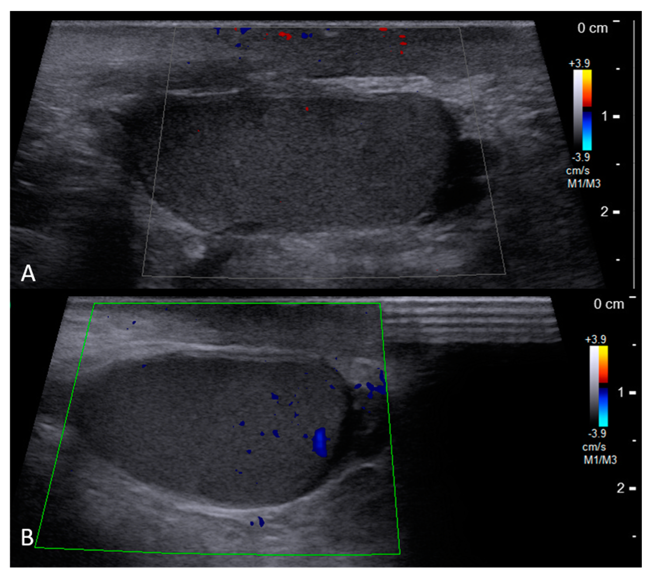 Medicina 59 00892 g004