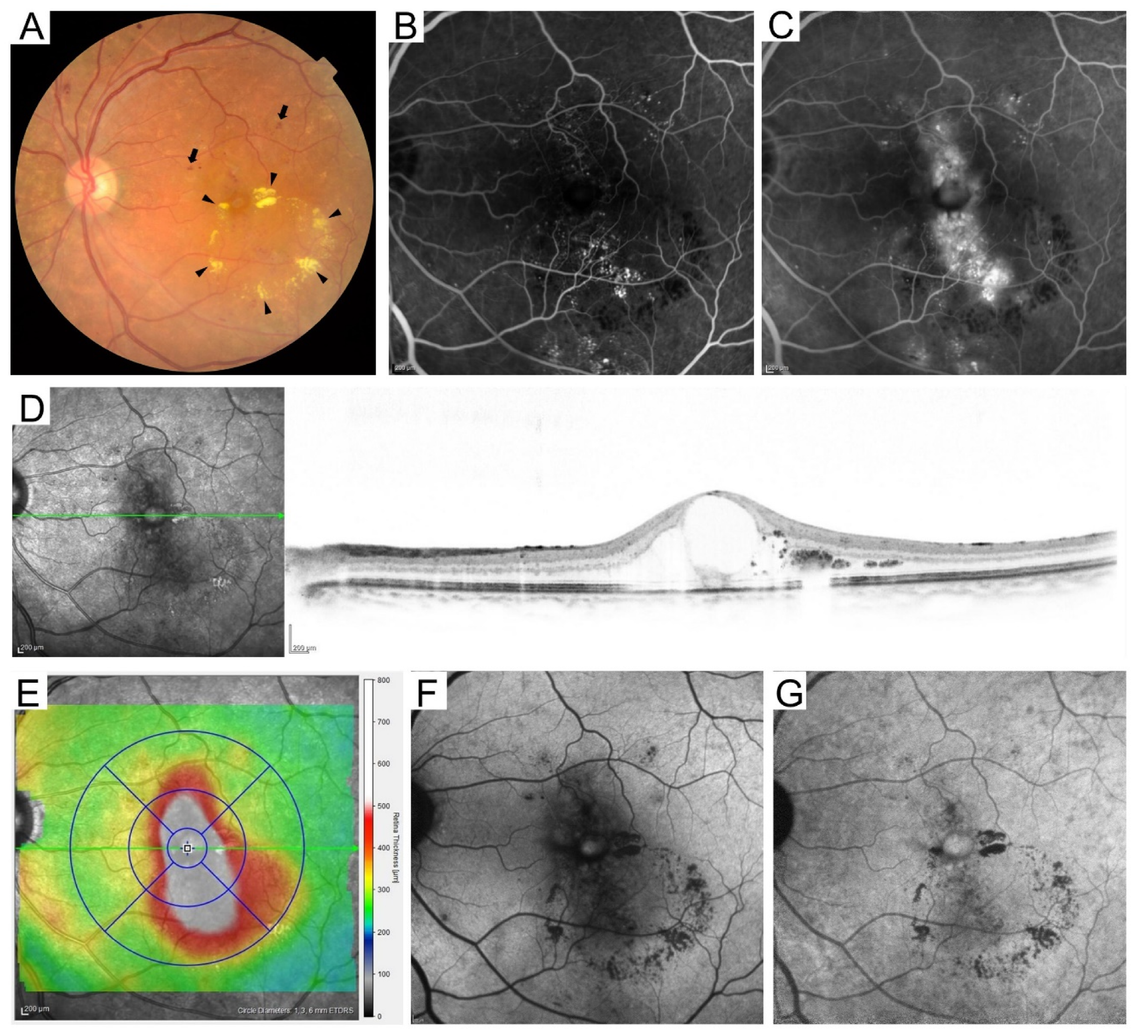 Medicina 59 00896 g001
