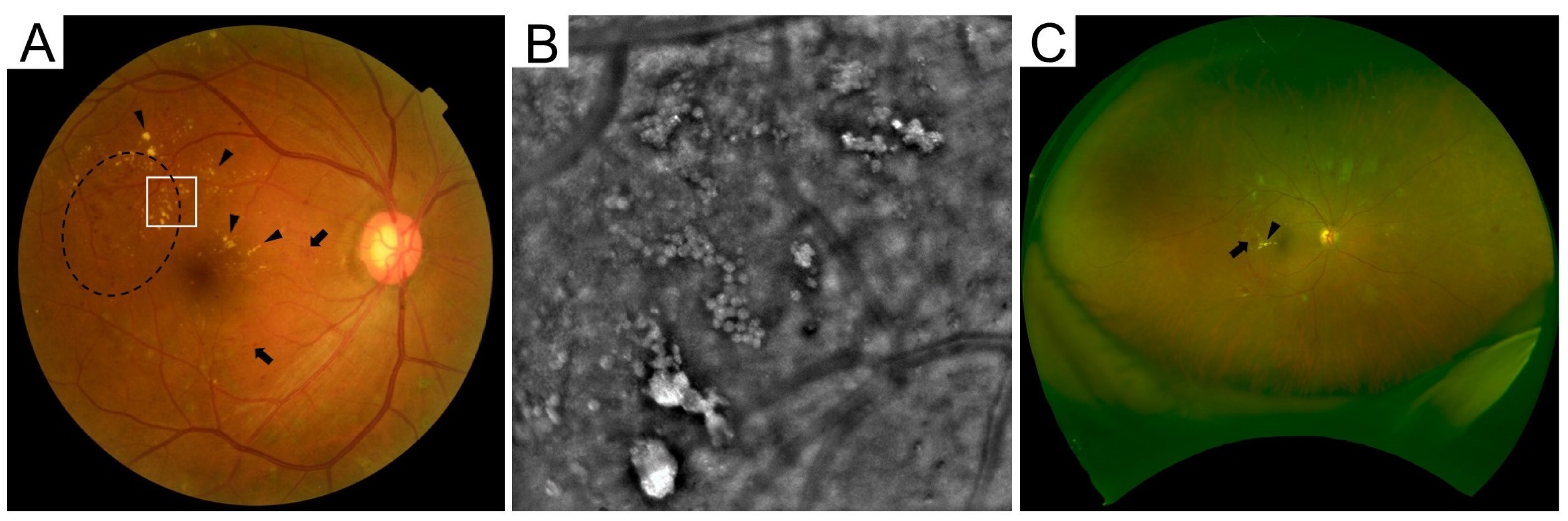 Medicina 59 00896 g002