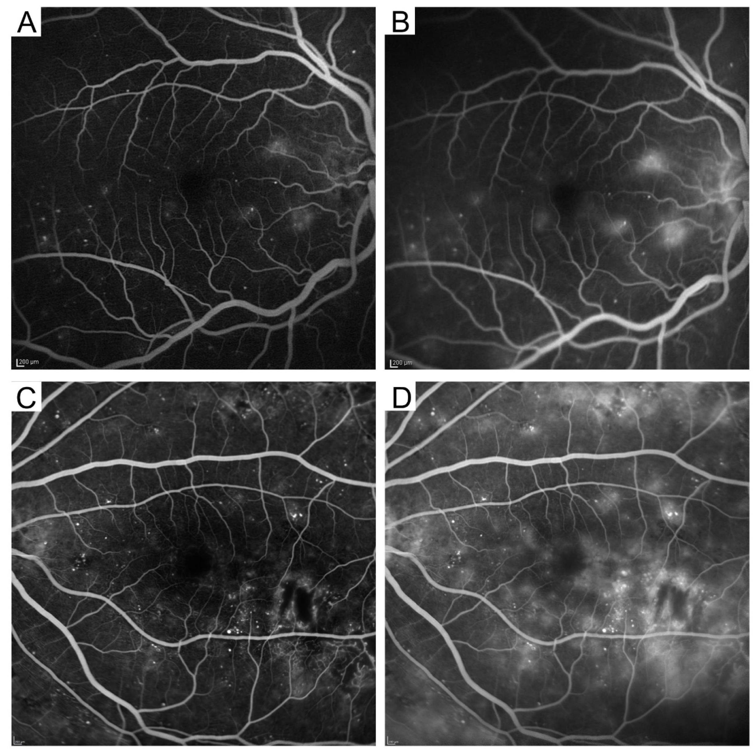 Medicina 59 00896 g003