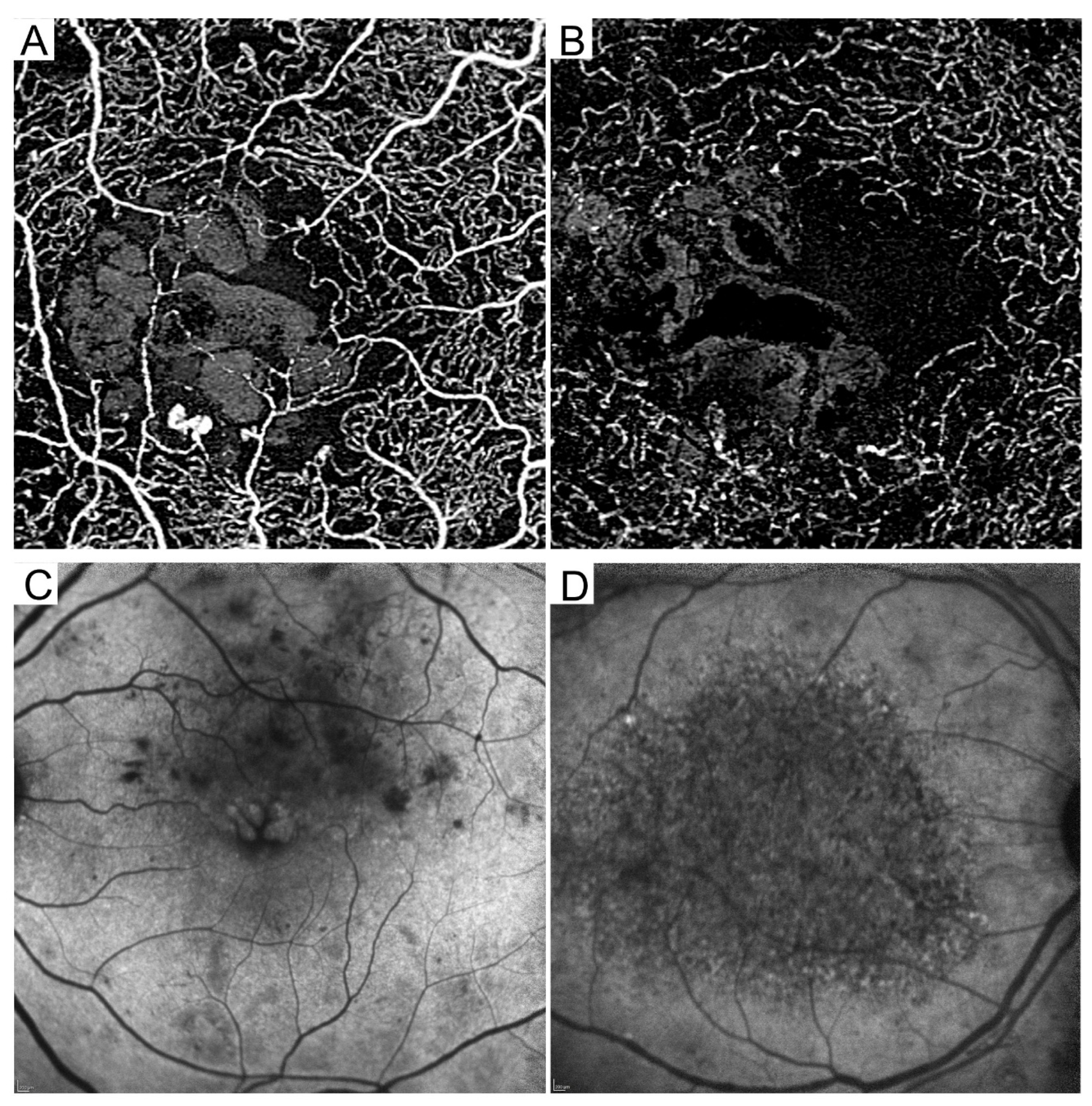 Medicina 59 00896 g006