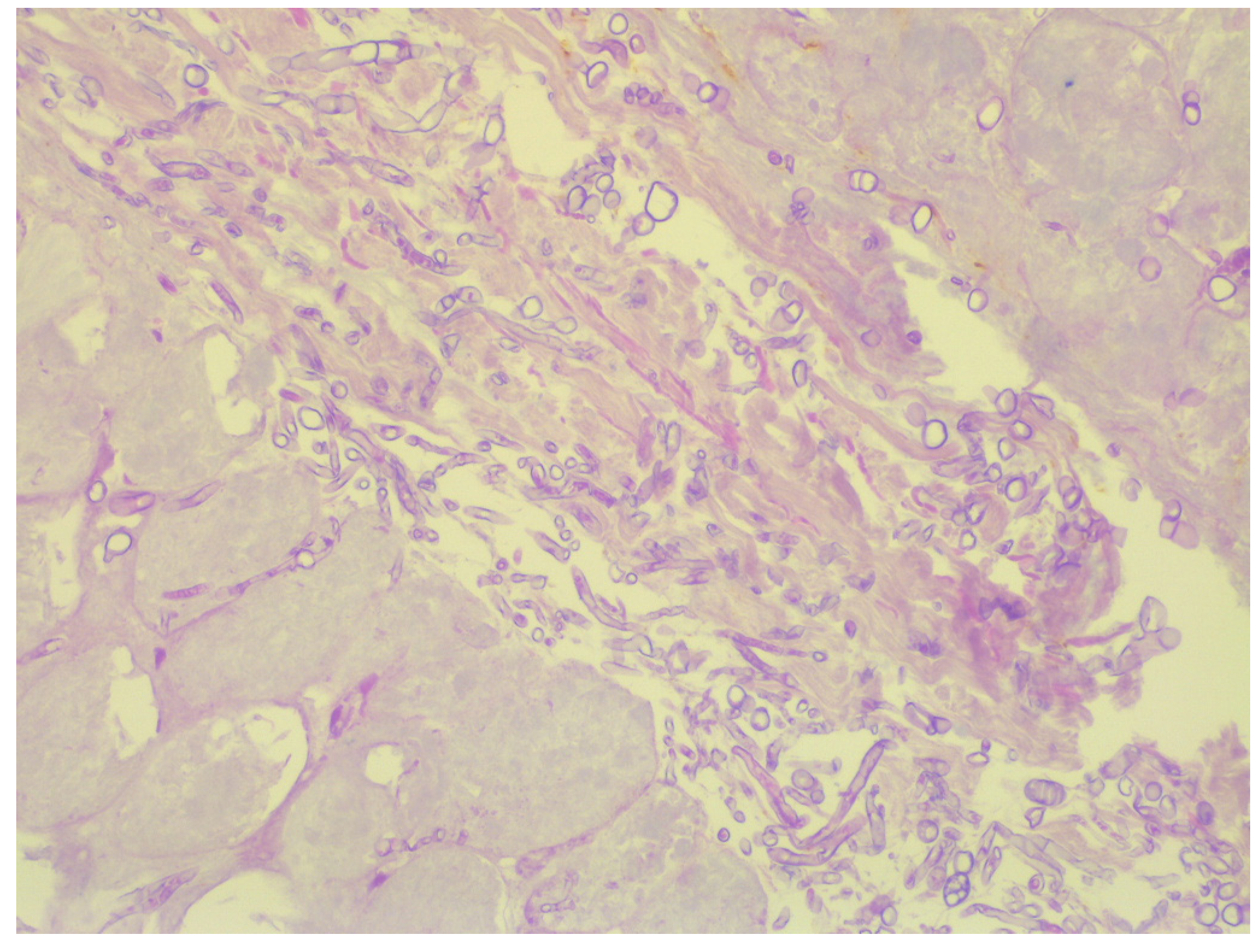 Medicina 59 00905 g003