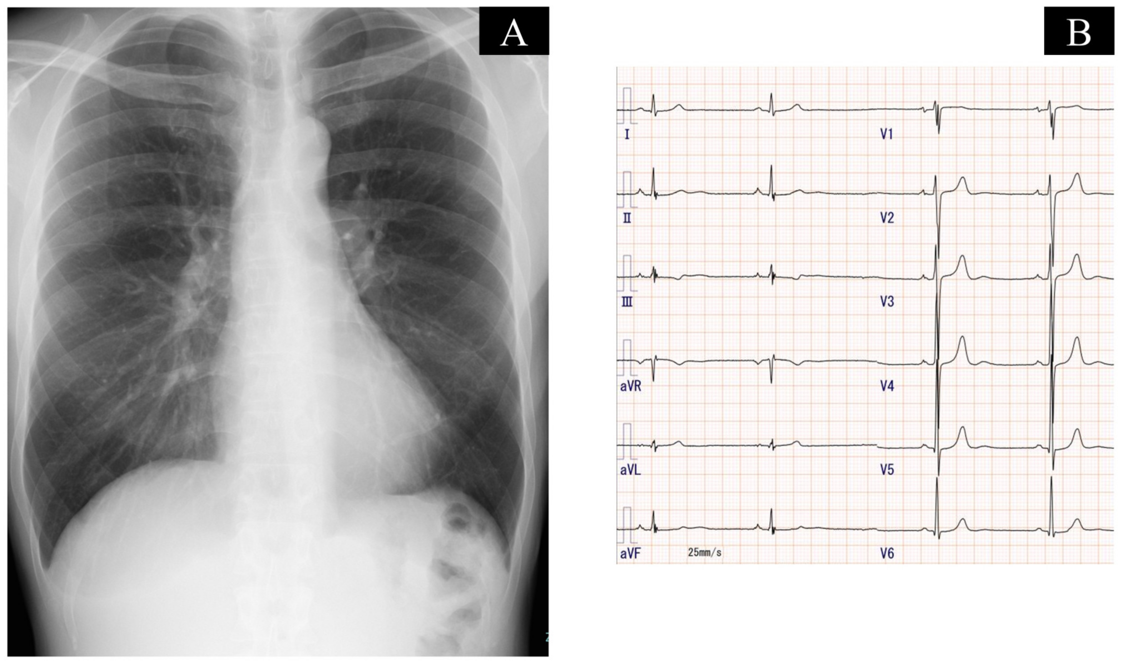 Medicina 59 00909 g001 Medicina 59 00909 g001
