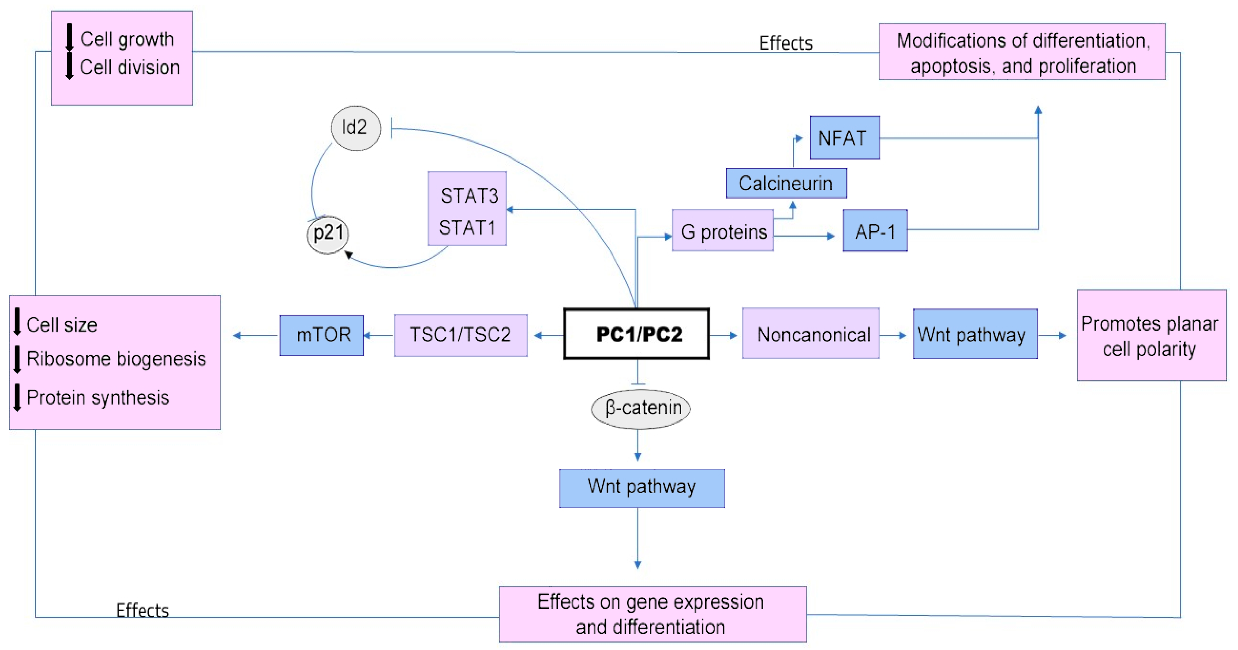 Medicina 59 00915 g001 Medicina 59 00915 g001