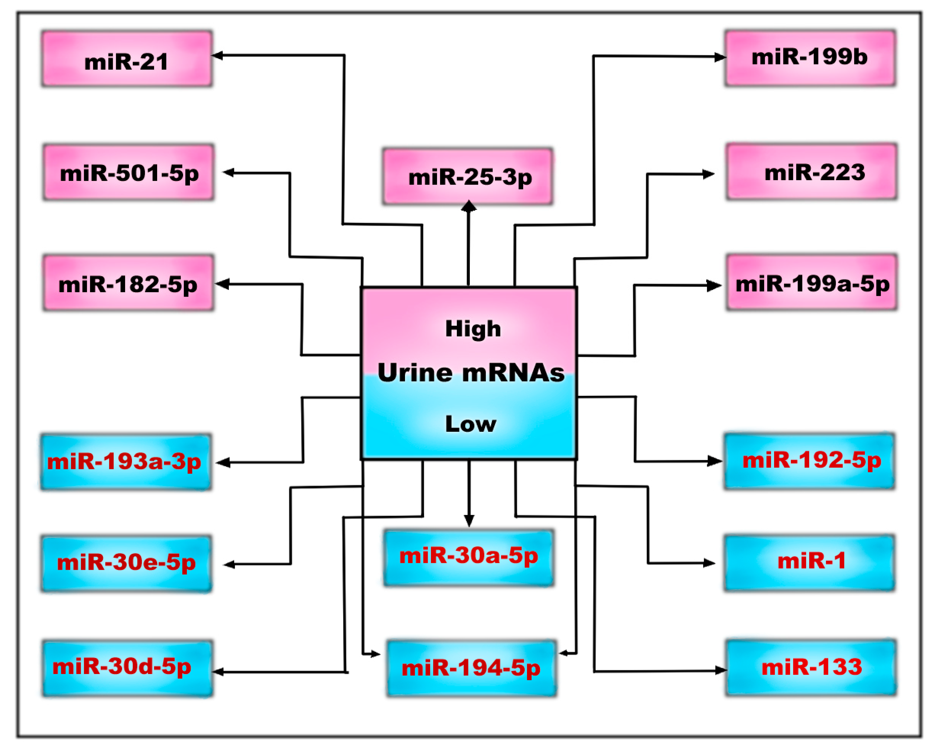 Medicina 59 00915 g002 Medicina 59 00915 g002