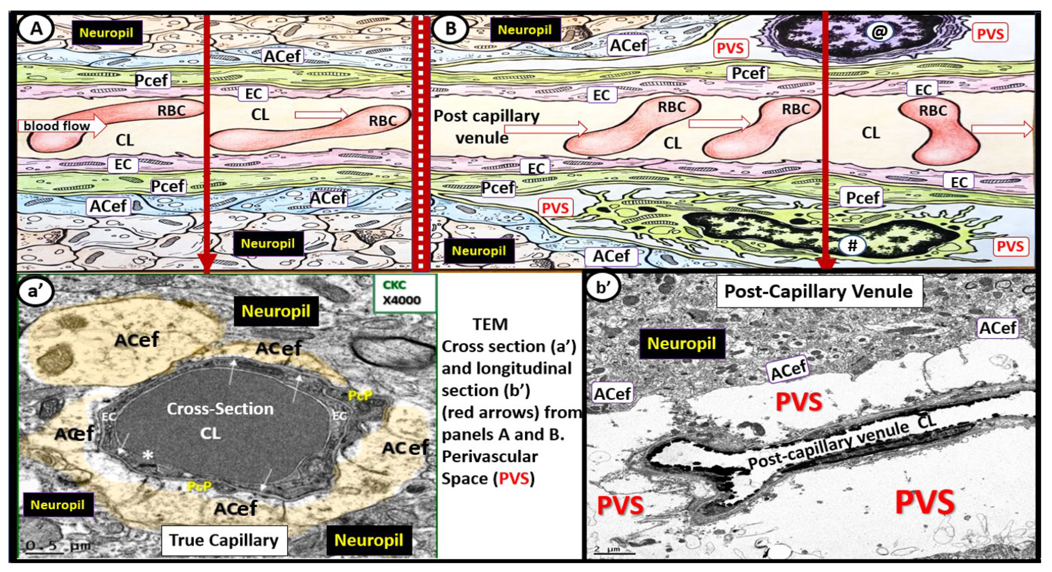 Medicina 59 00917 g002