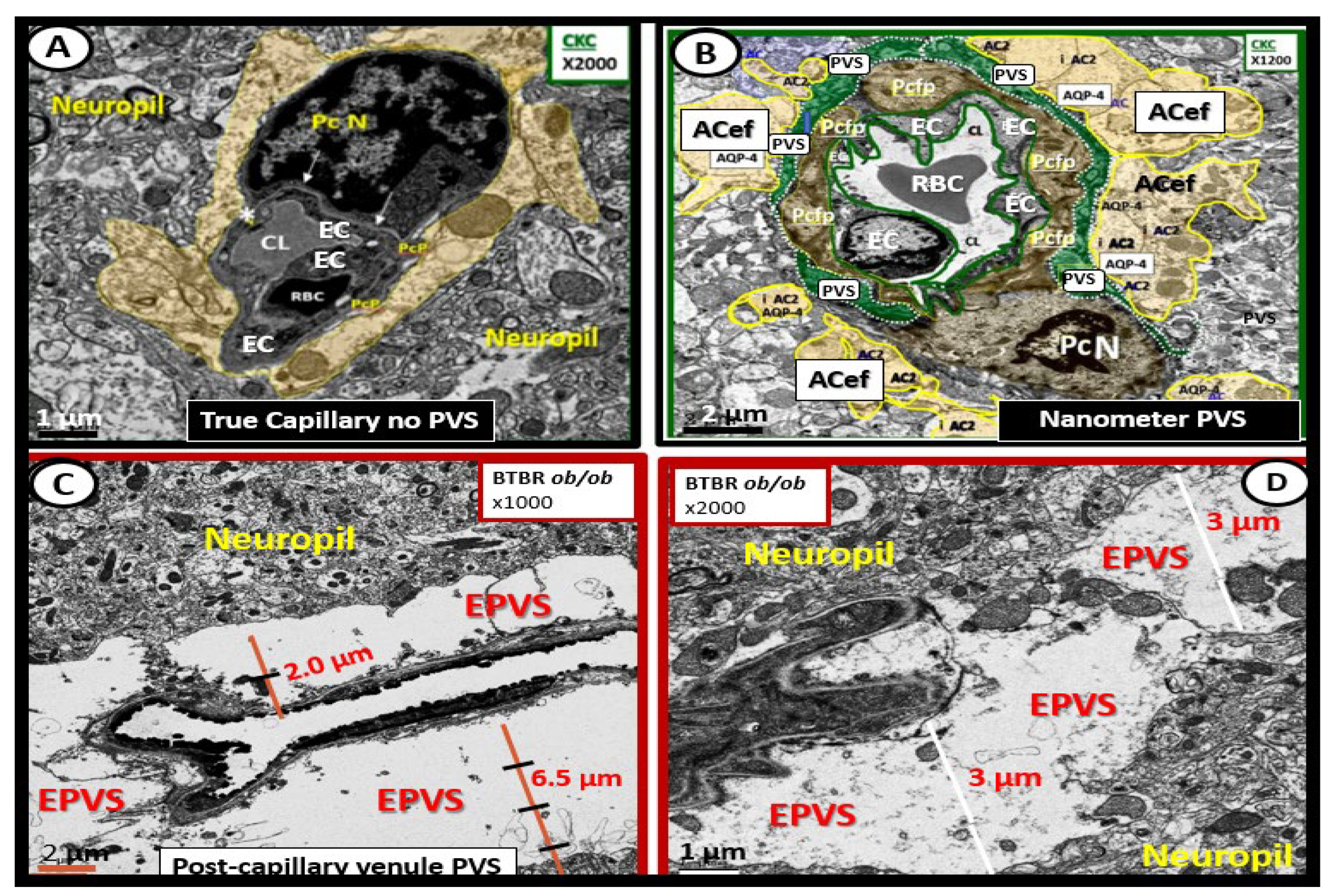 Medicina 59 00917 g004