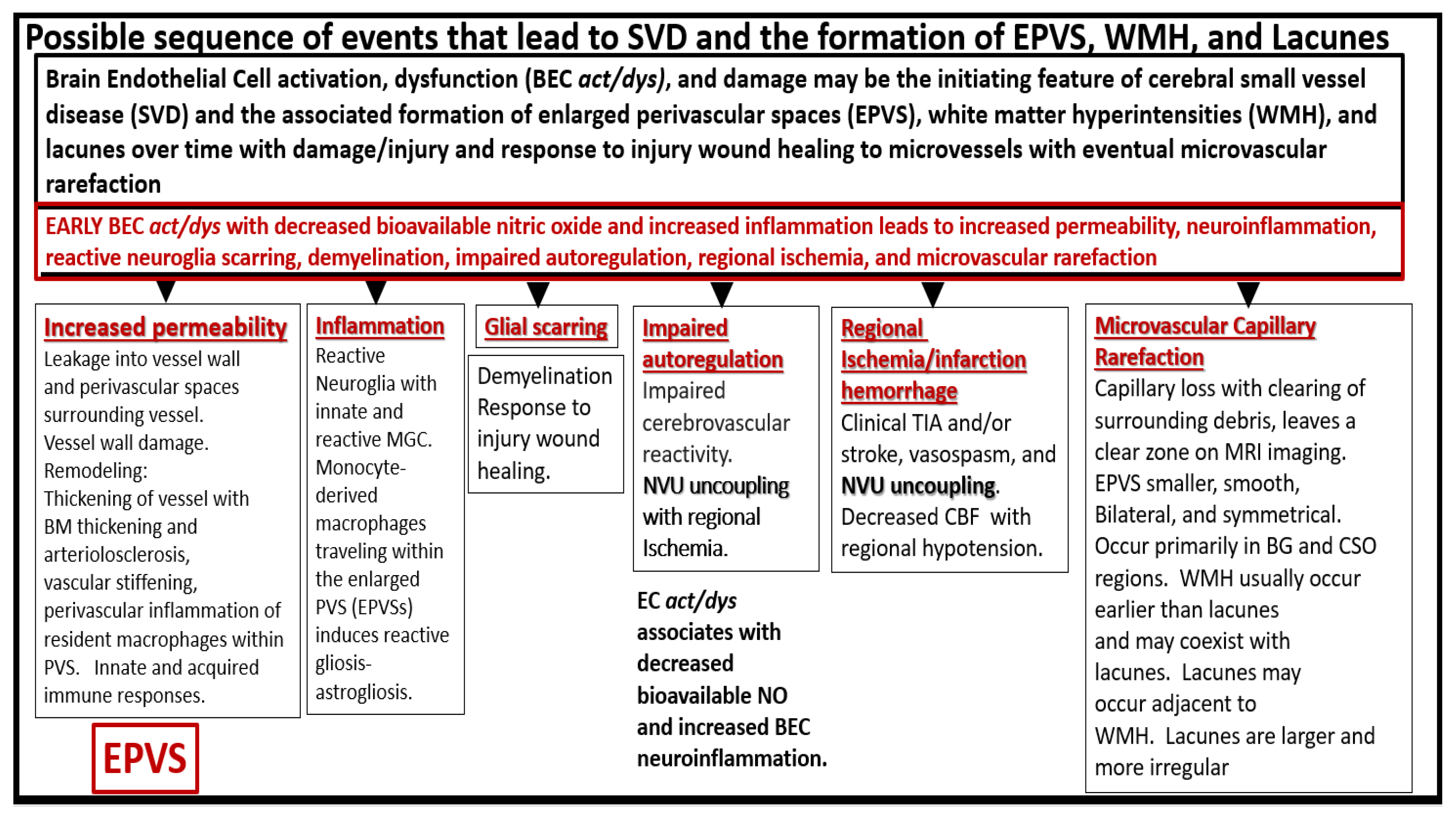 Medicina 59 00917 g007