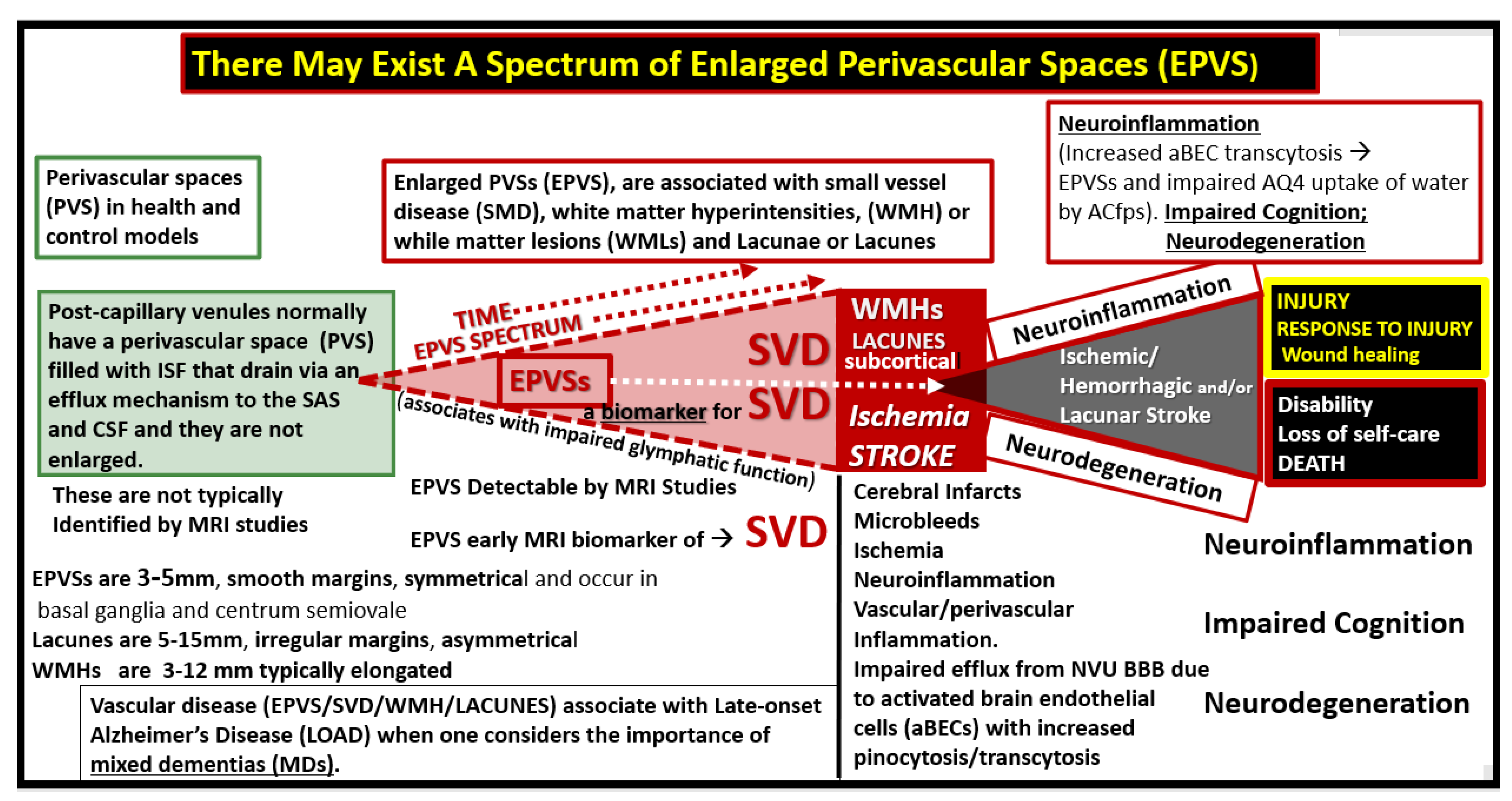 Medicina 59 00917 g008
