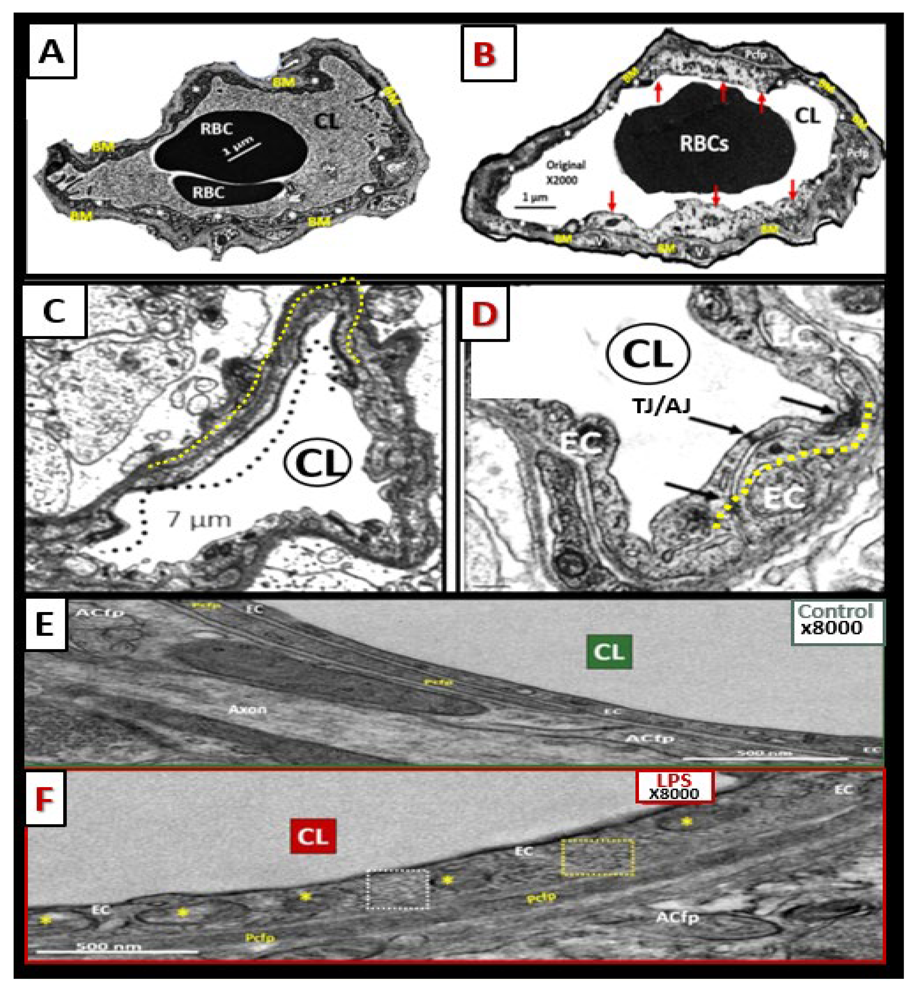 Medicina 59 00917 g011