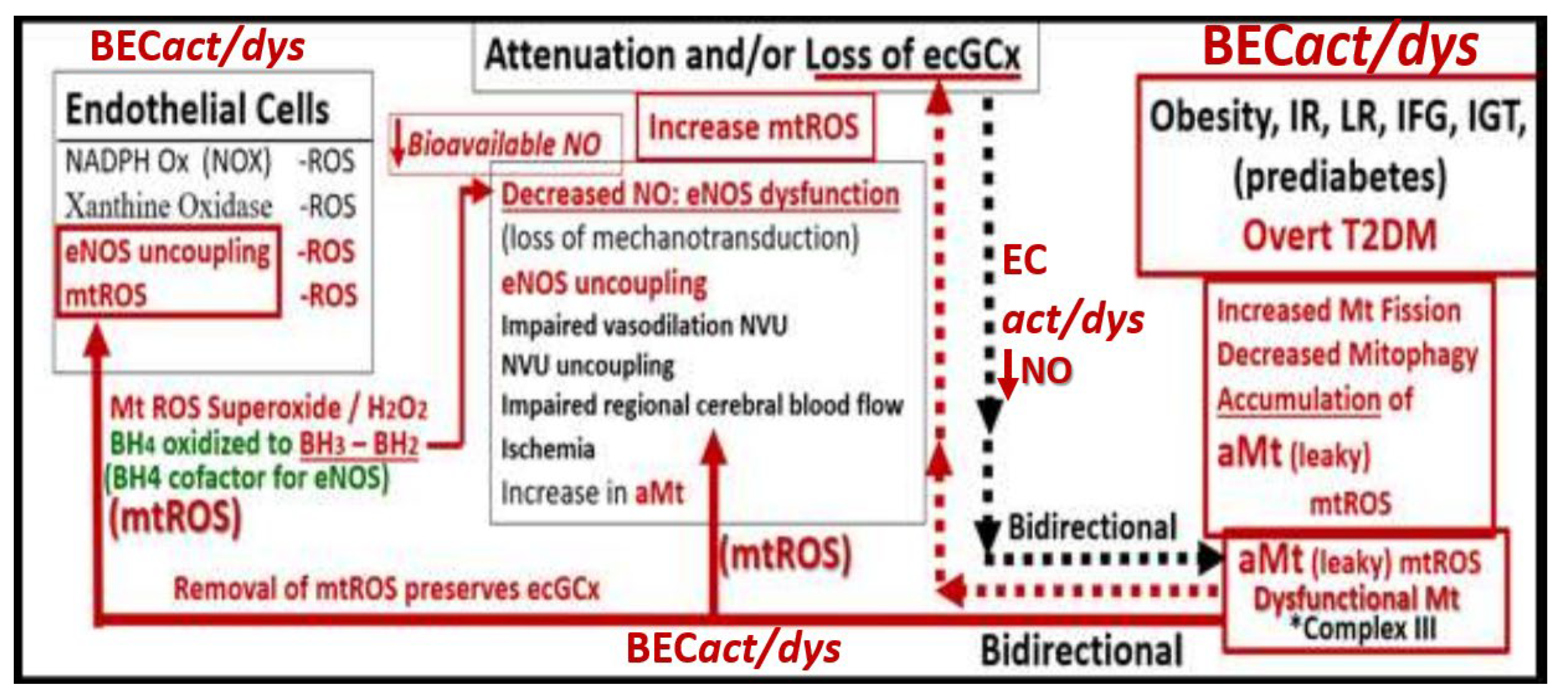 Medicina 59 00917 g013