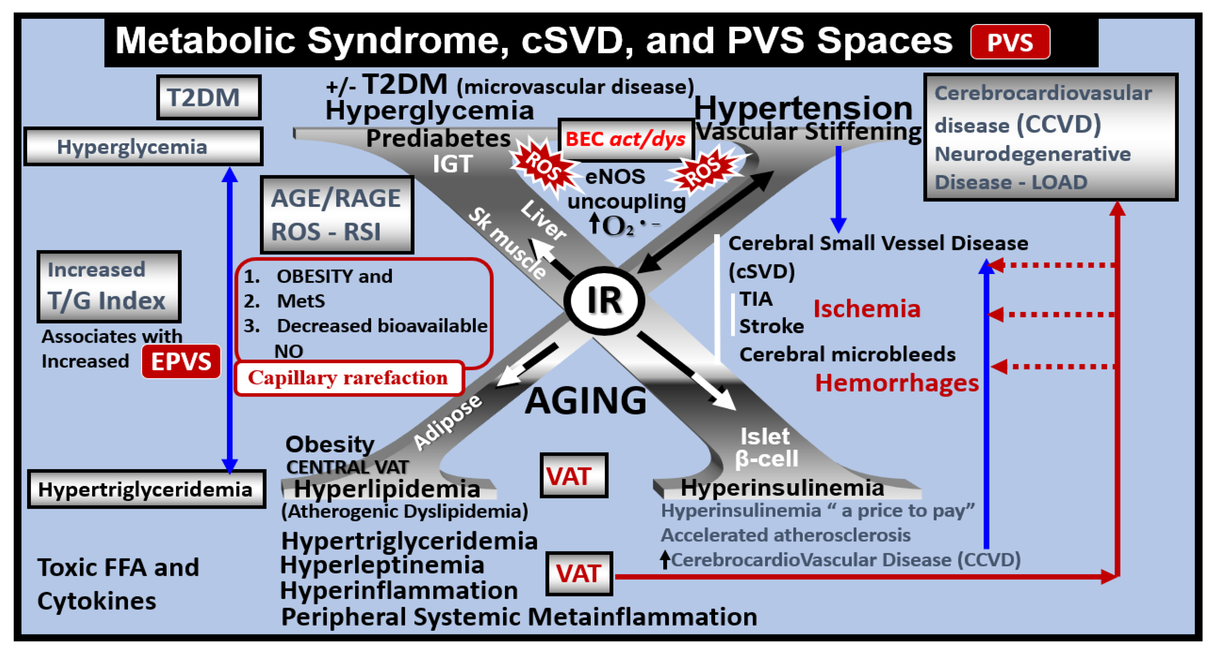 Medicina 59 00917 g014