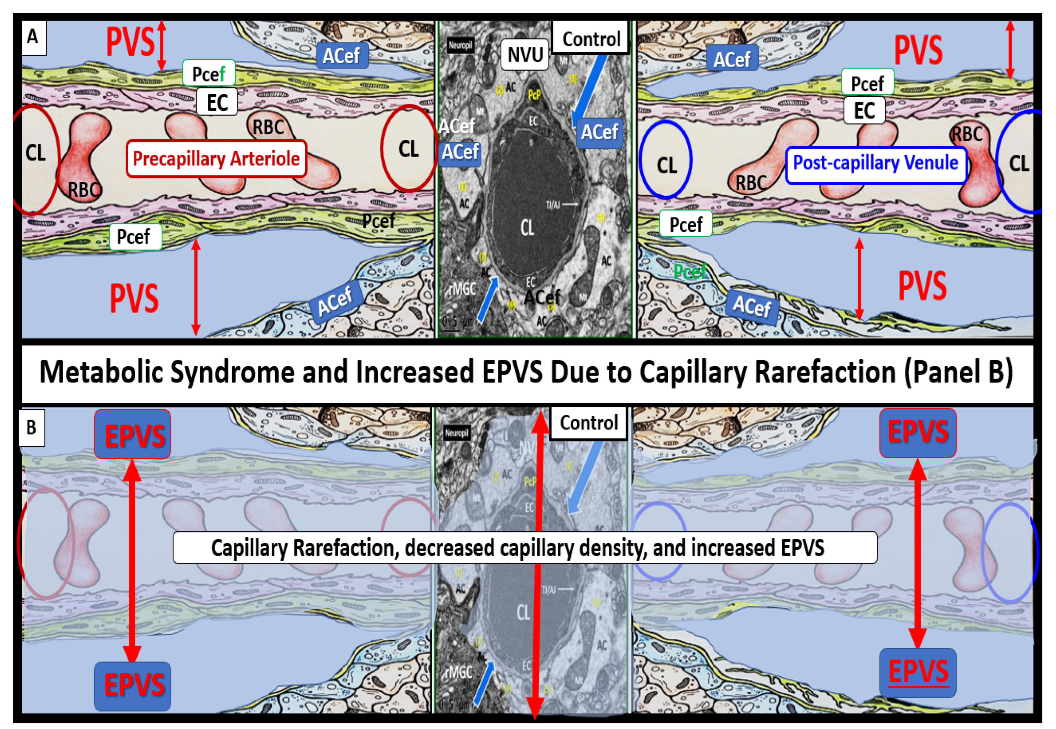 Medicina 59 00917 g015
