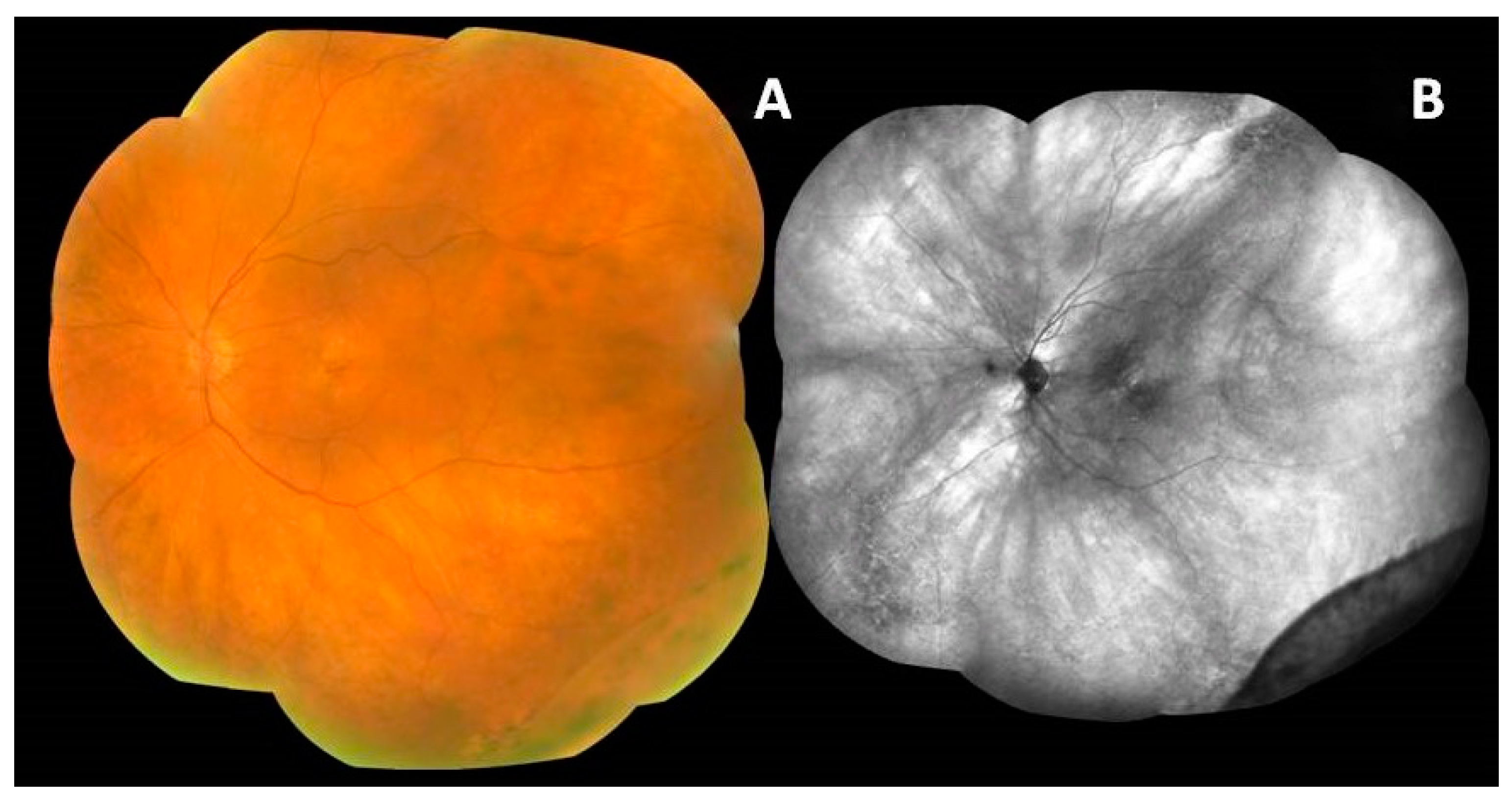 Medicina 59 00920 g003