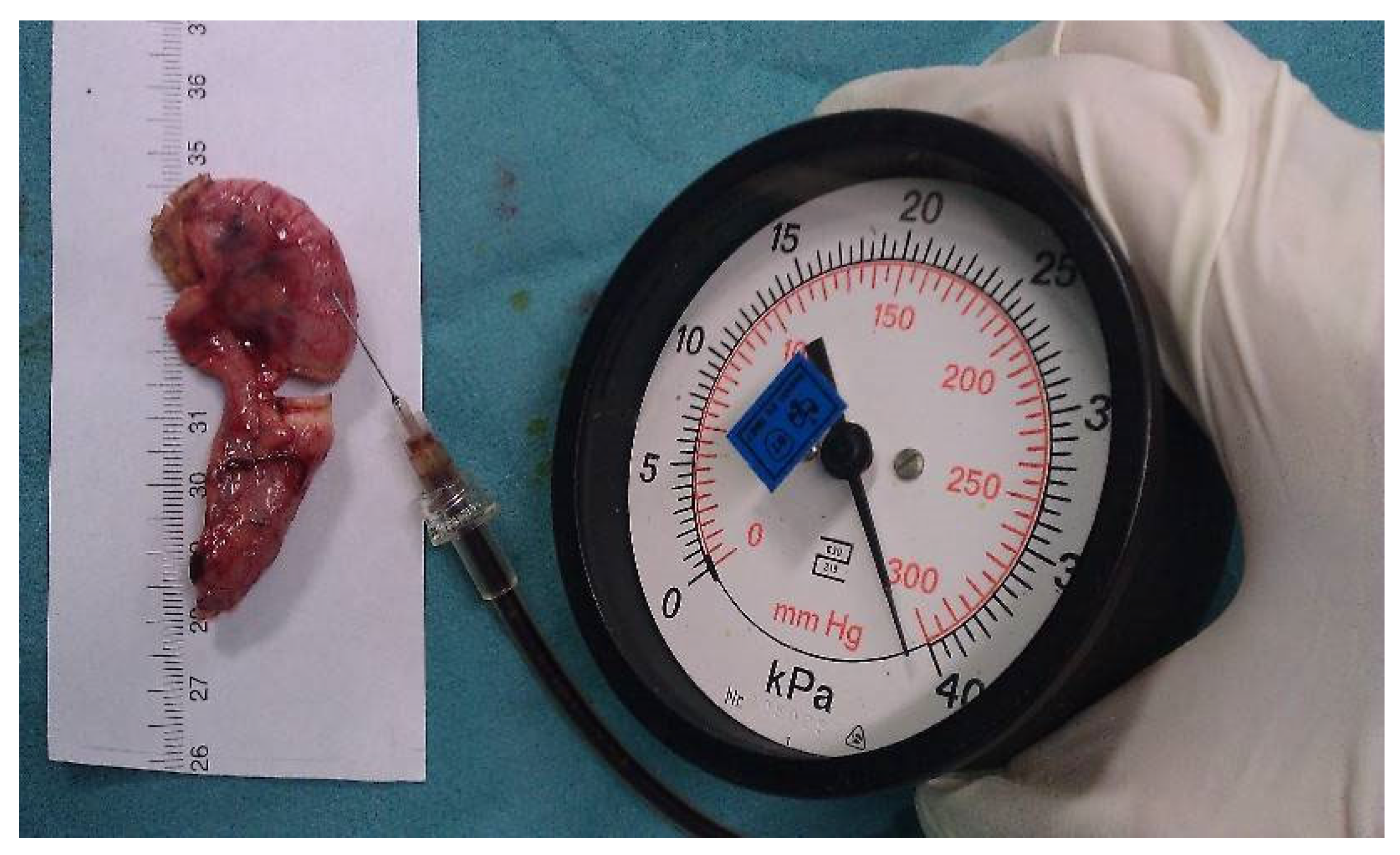 Medicina 59 00927 g002