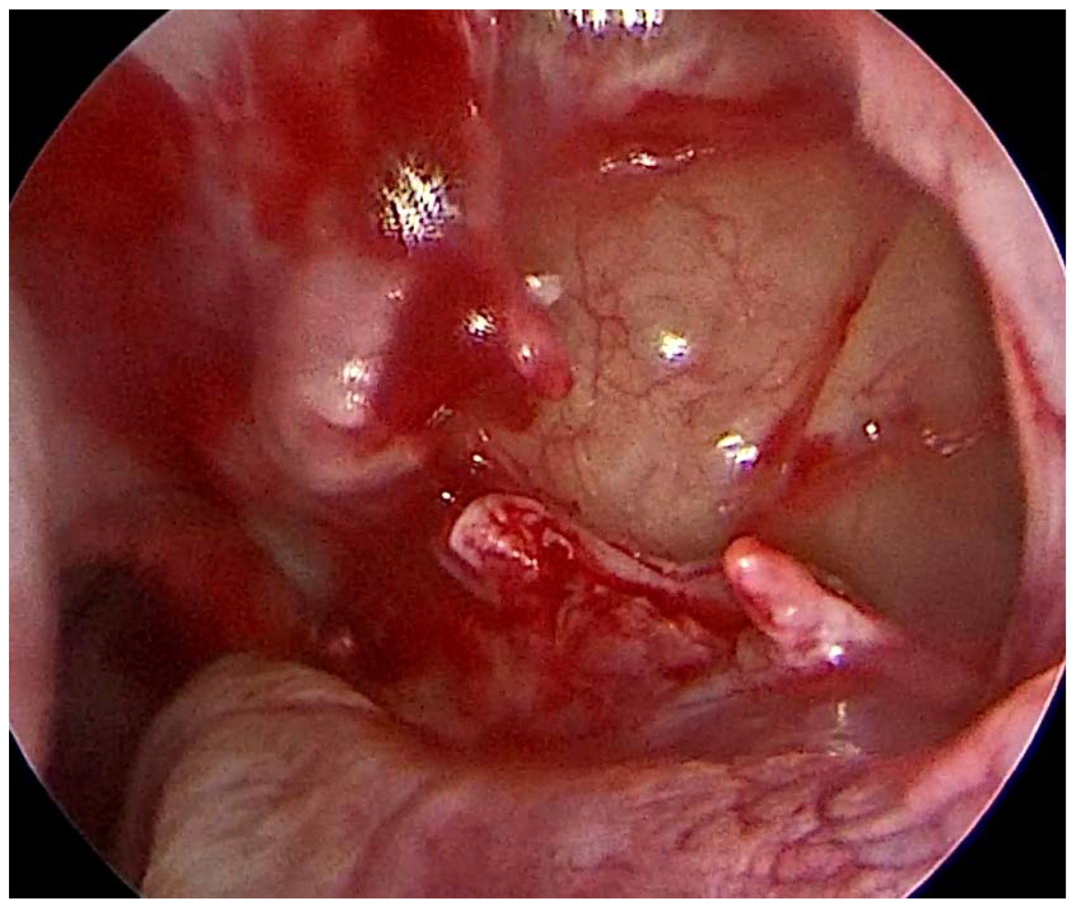 Medicina 59 00937 g001