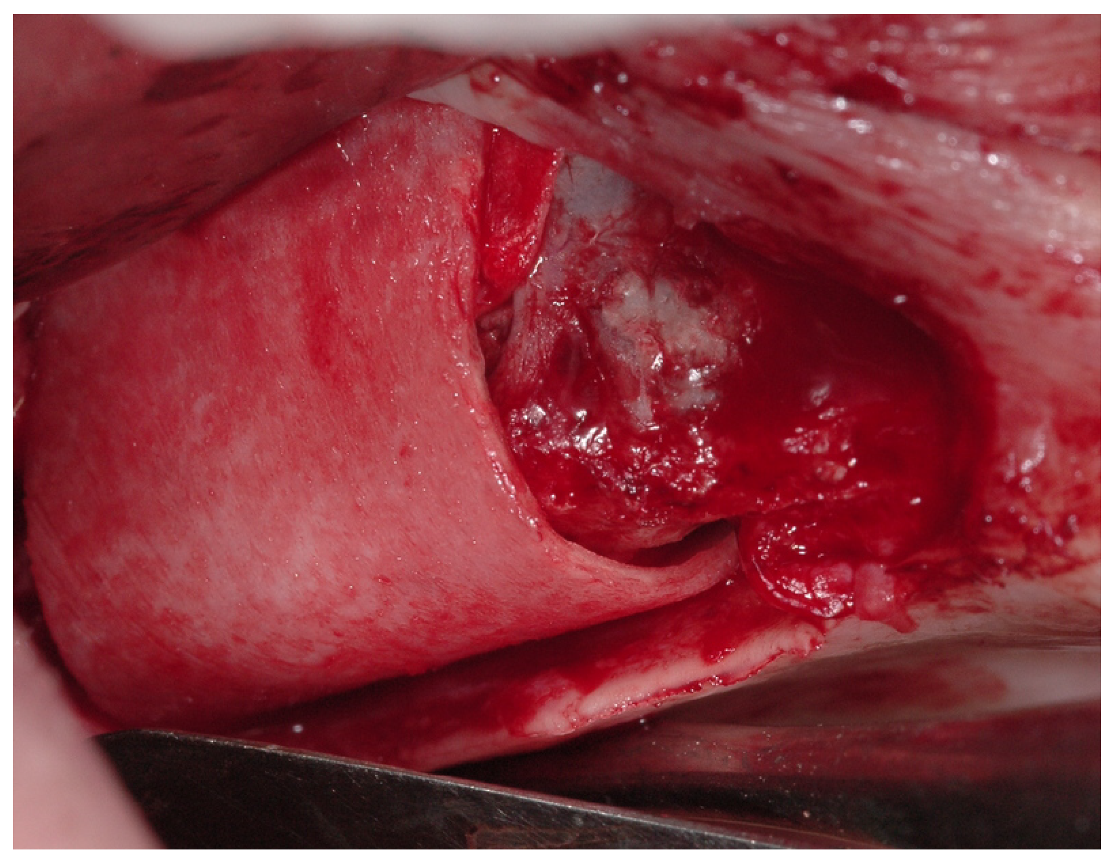 Medicina 59 00937 g003