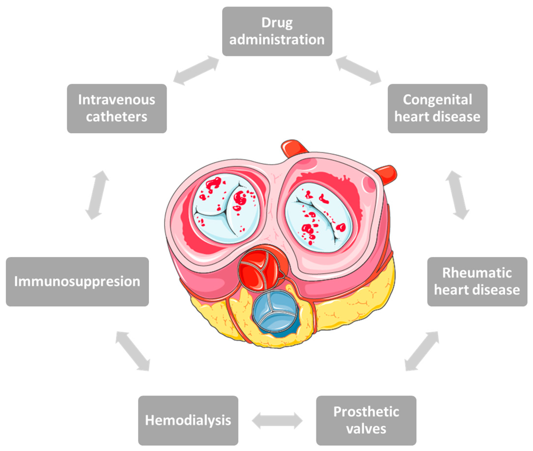 Medicina 59 00939 g001