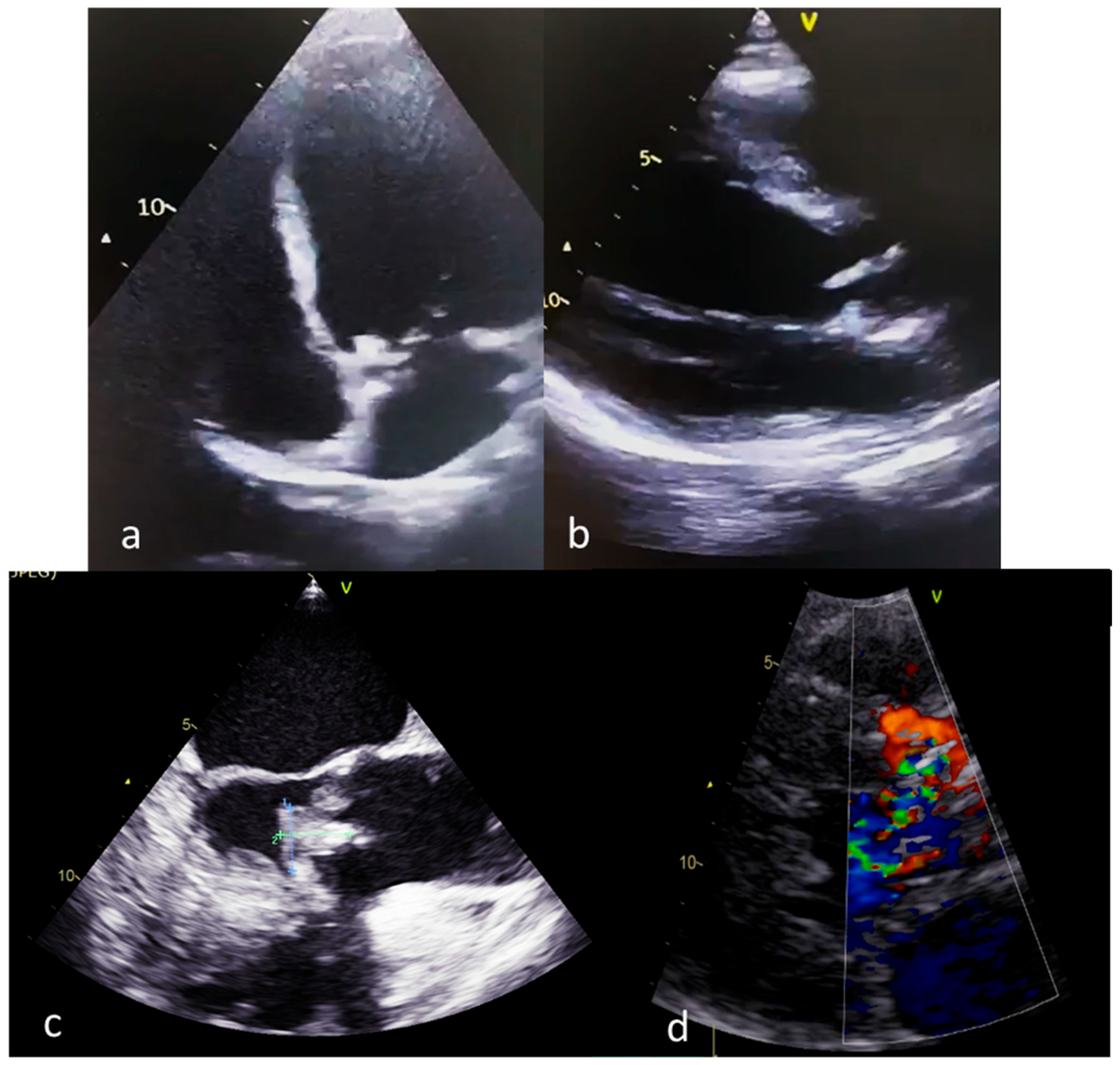 Medicina 59 00939 g003