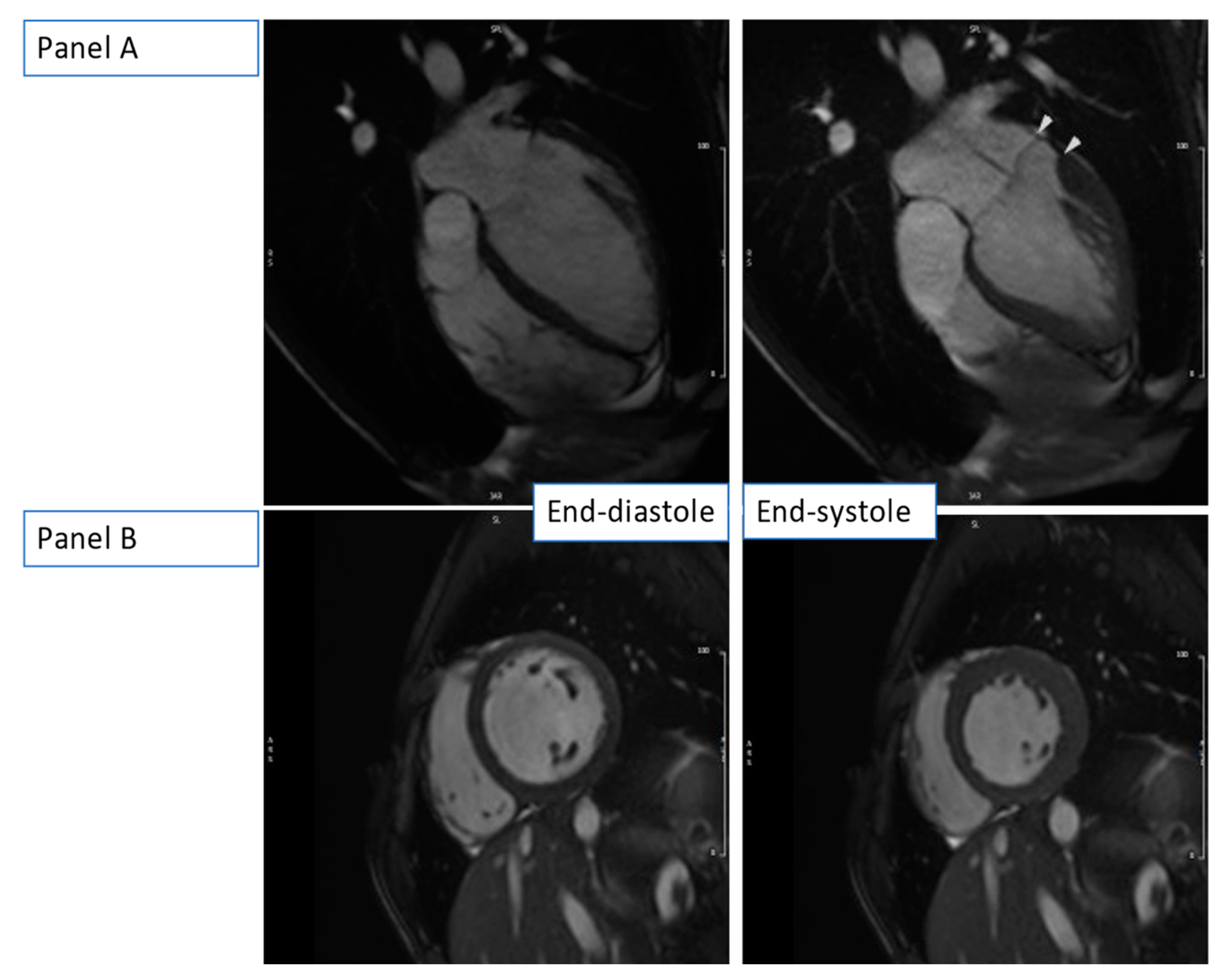 Medicina 59 00942 g006