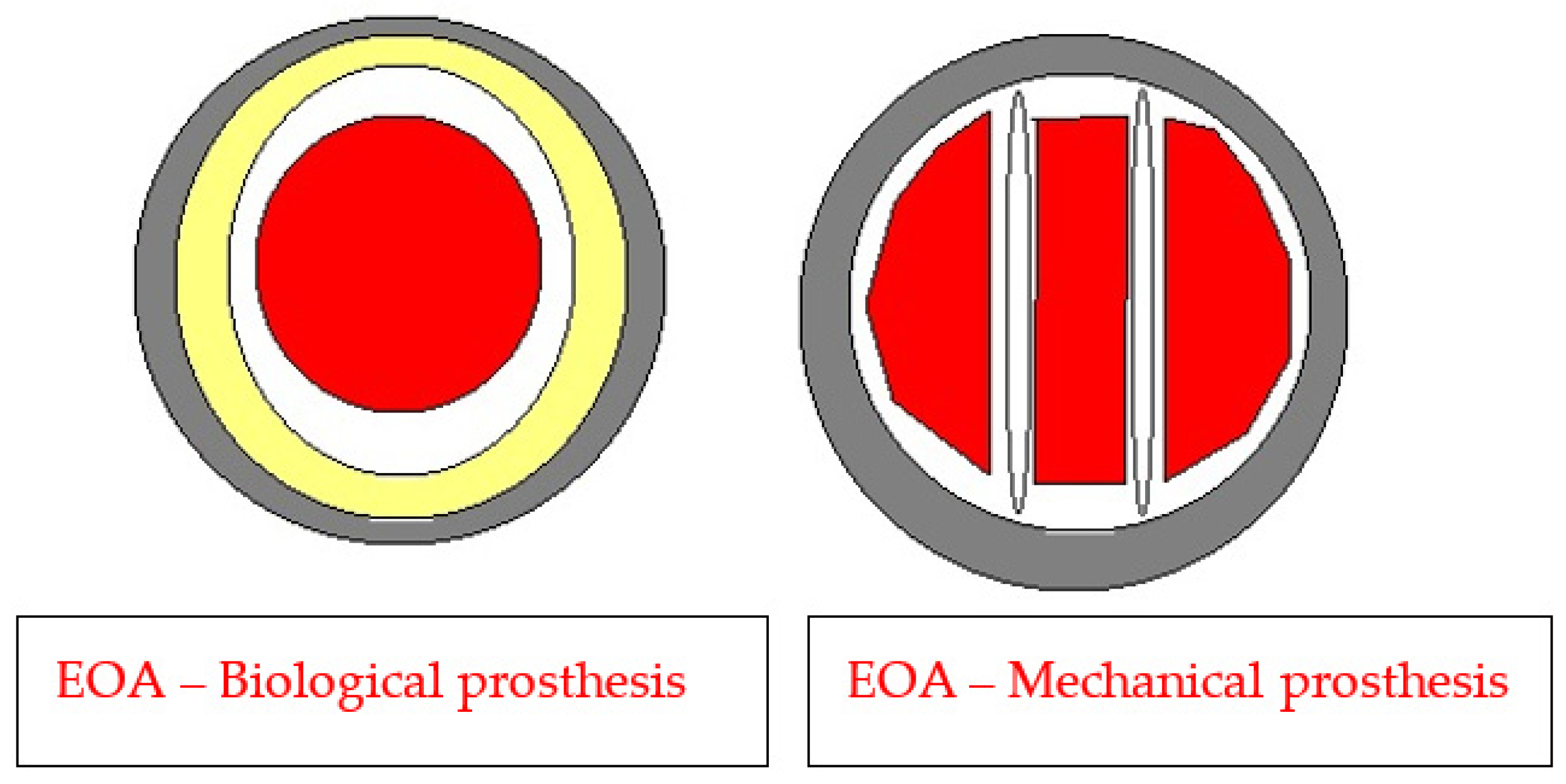 Medicina 59 00954 g001