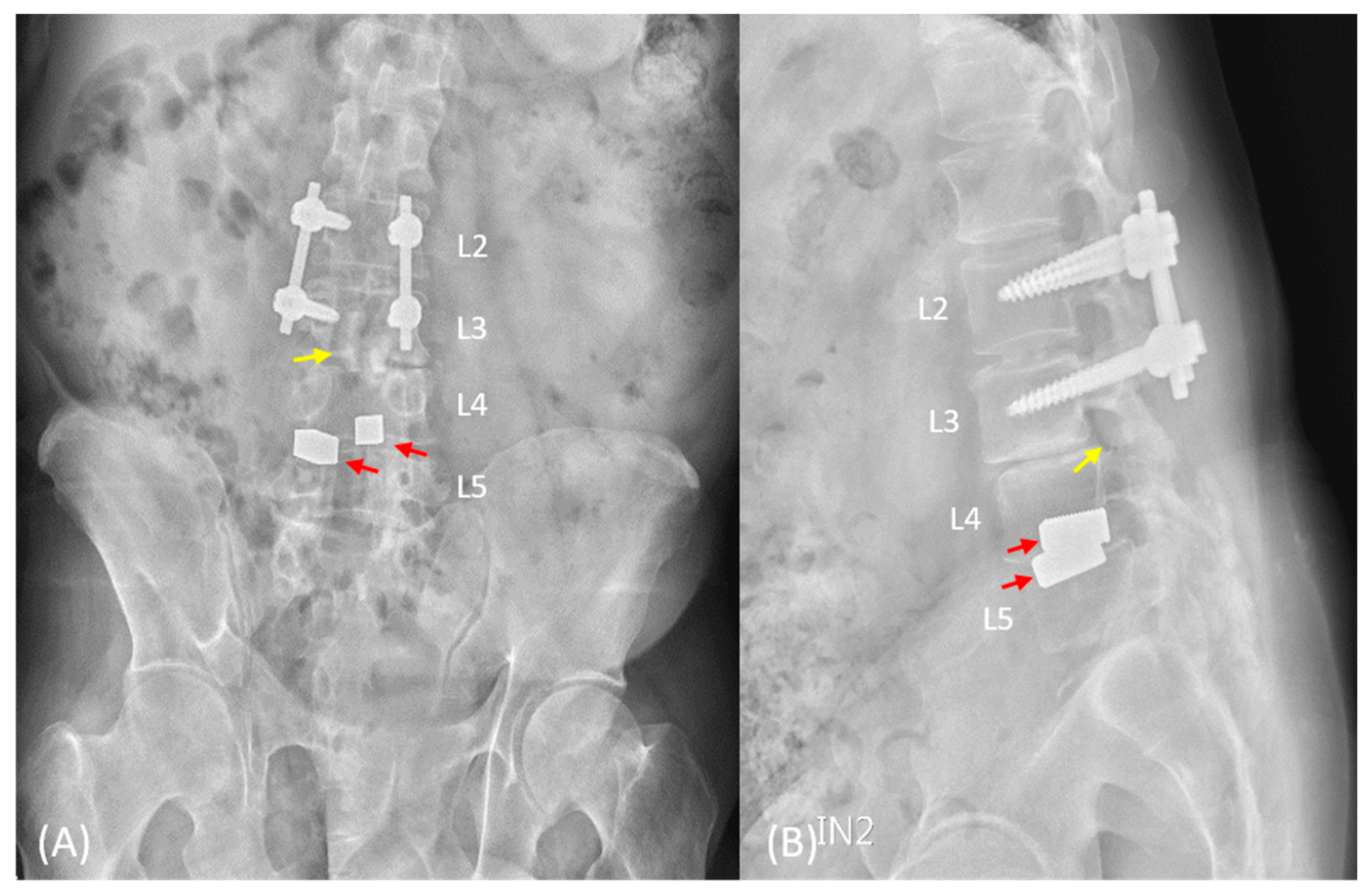Medicina 59 00956 g001