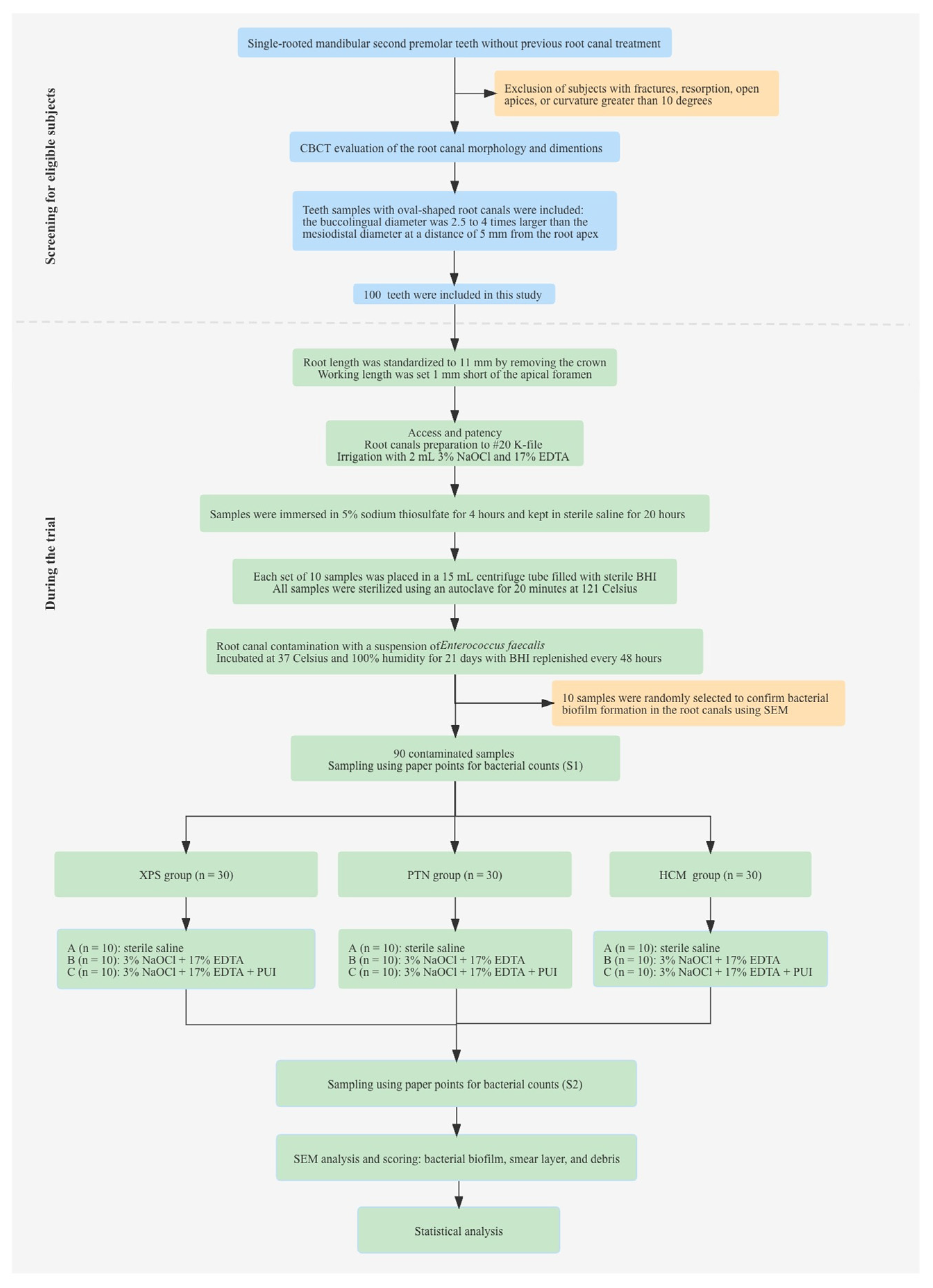 Medicina 59 00962 g001 Medicina 59 00962 g001