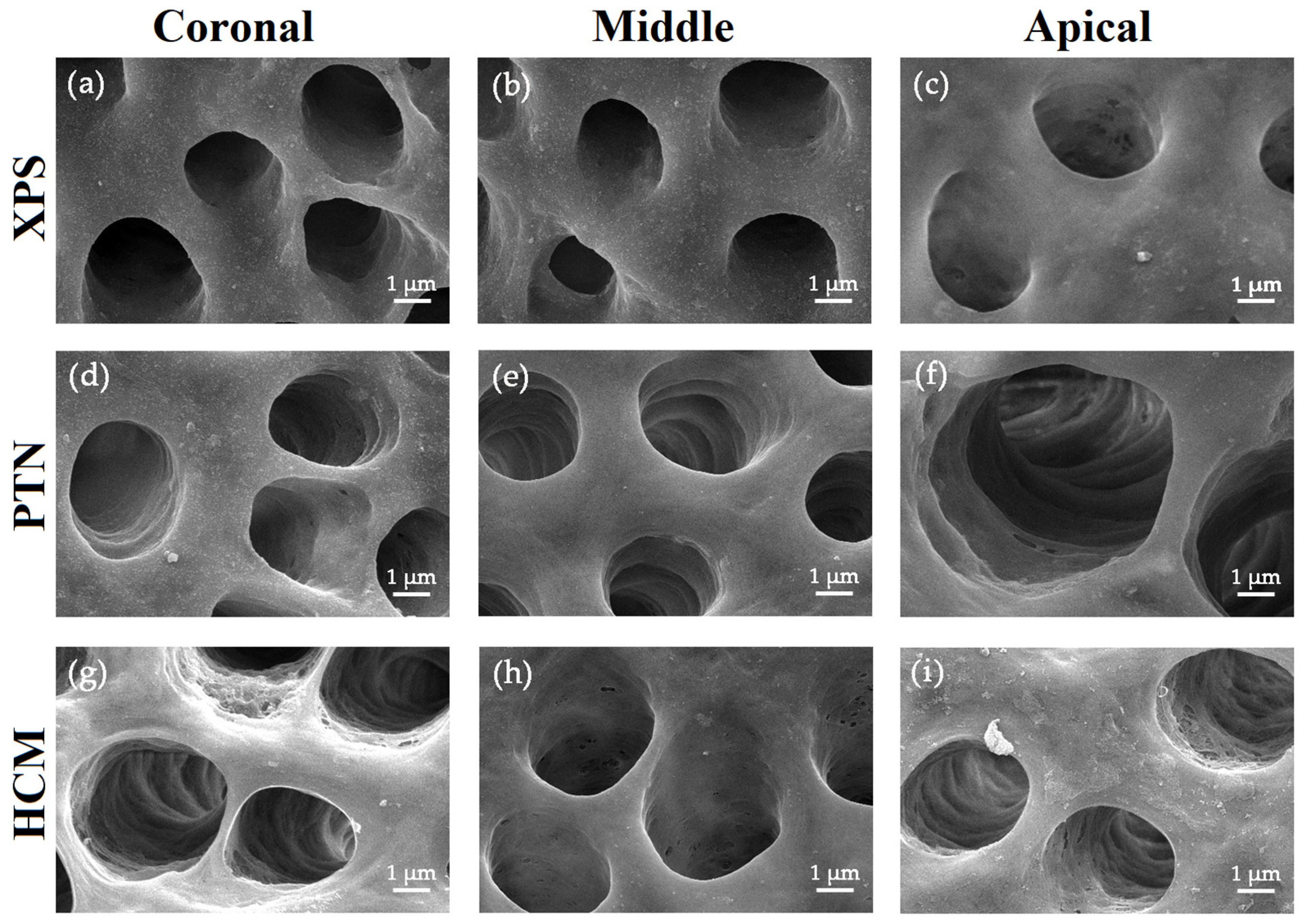 Medicina 59 00962 g005 Medicina 59 00962 g005