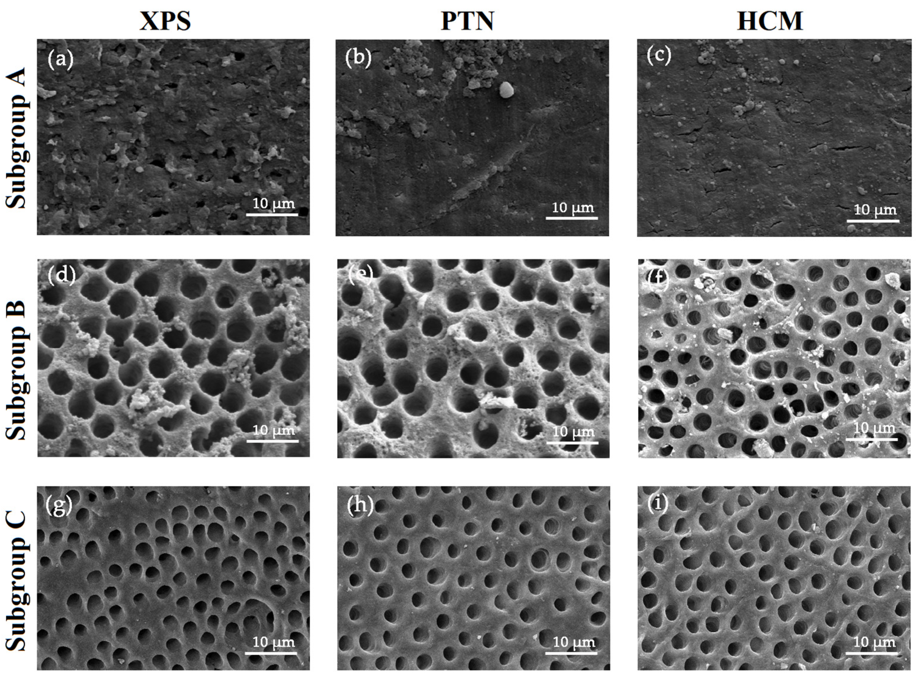 Medicina 59 00962 g006 Medicina 59 00962 g006