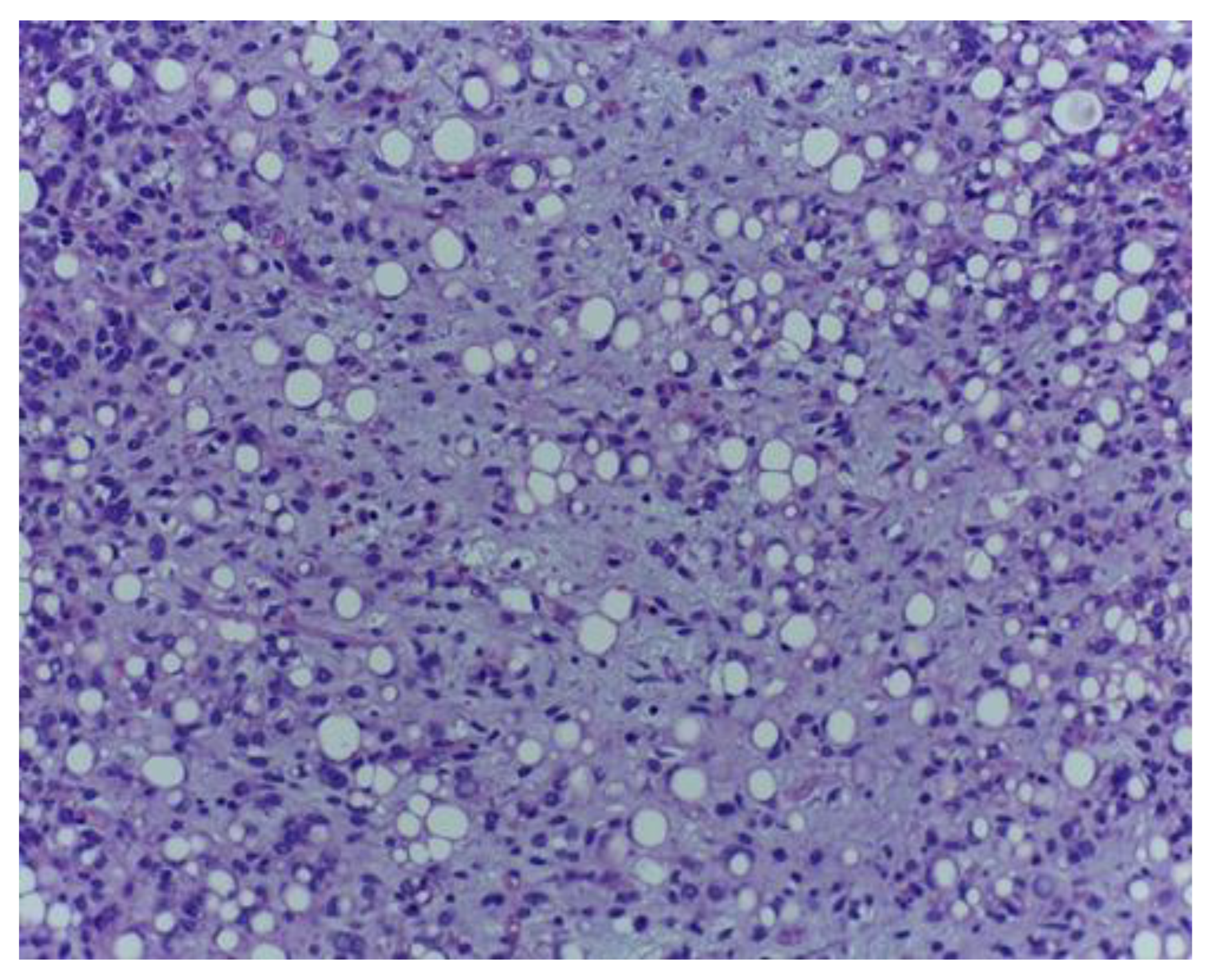 Medicina 59 00967 g001