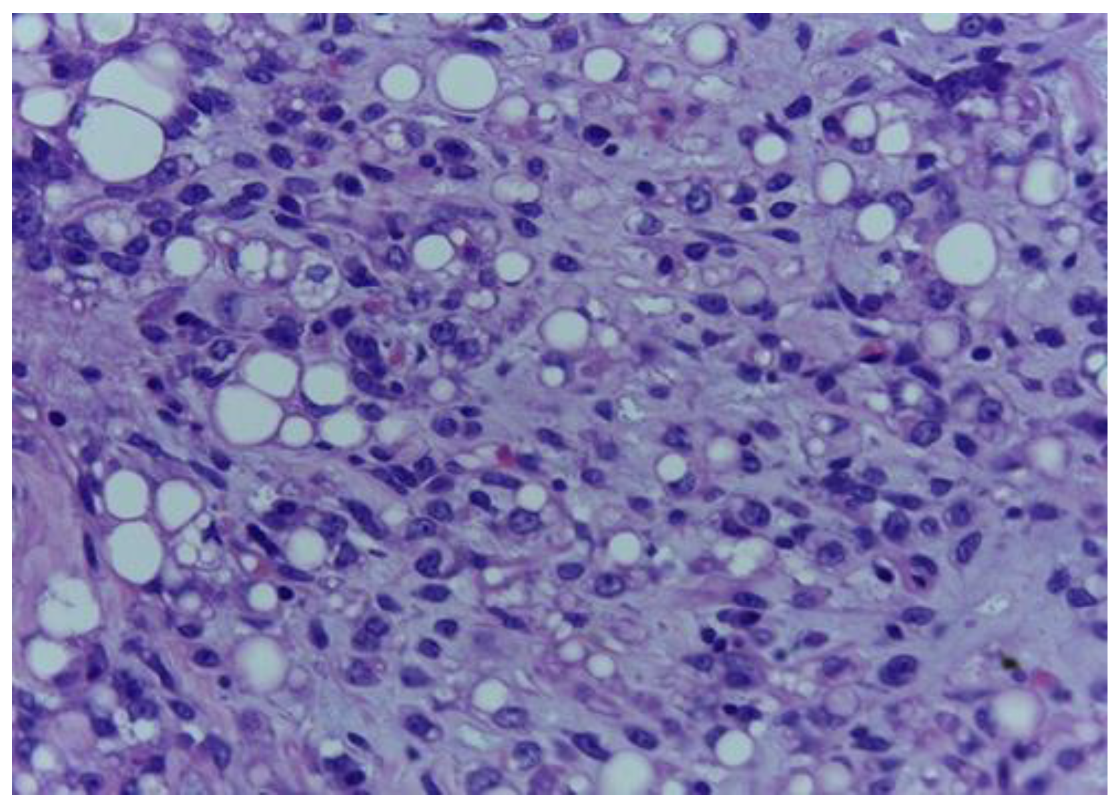 Medicina 59 00967 g002