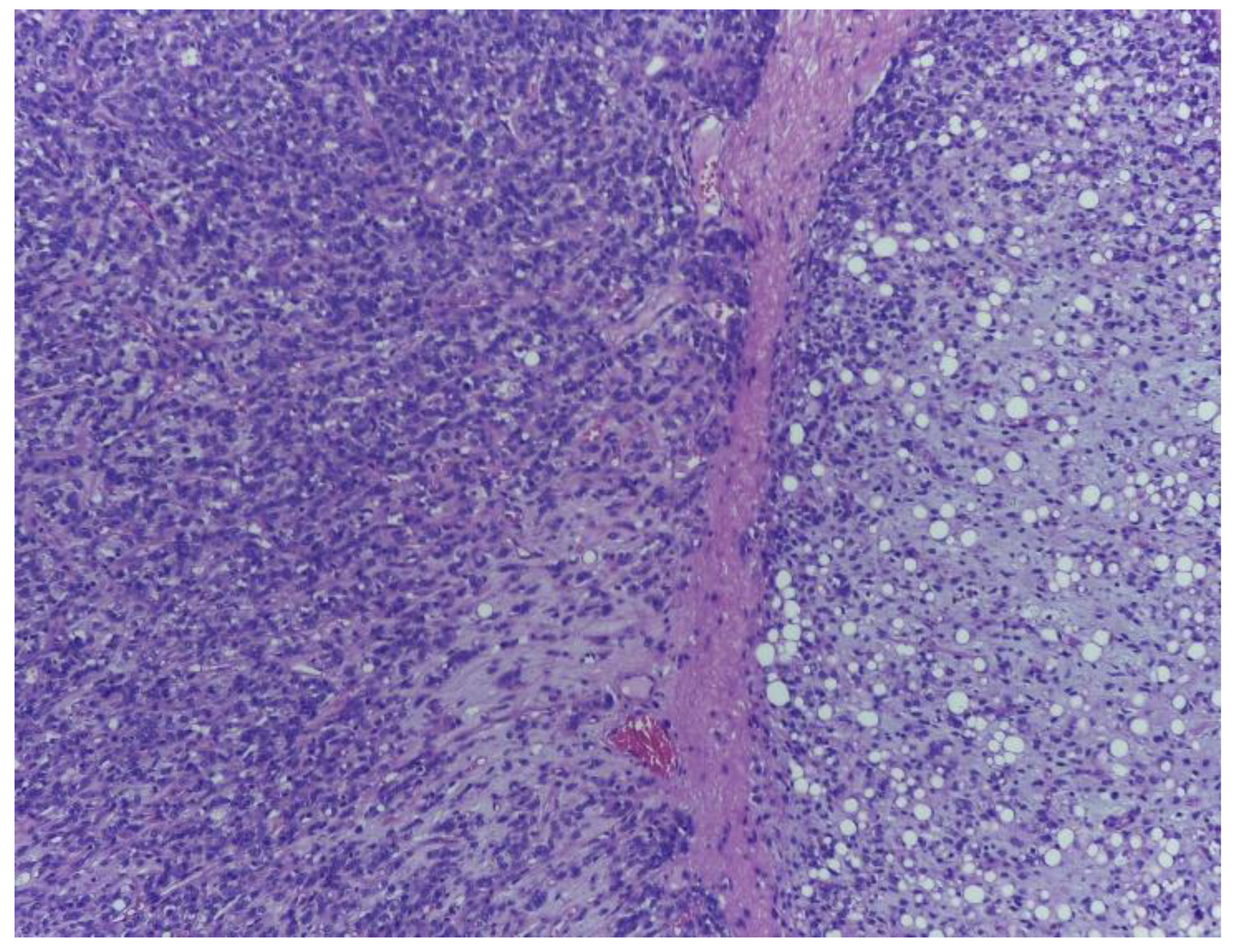 Medicina 59 00967 g003