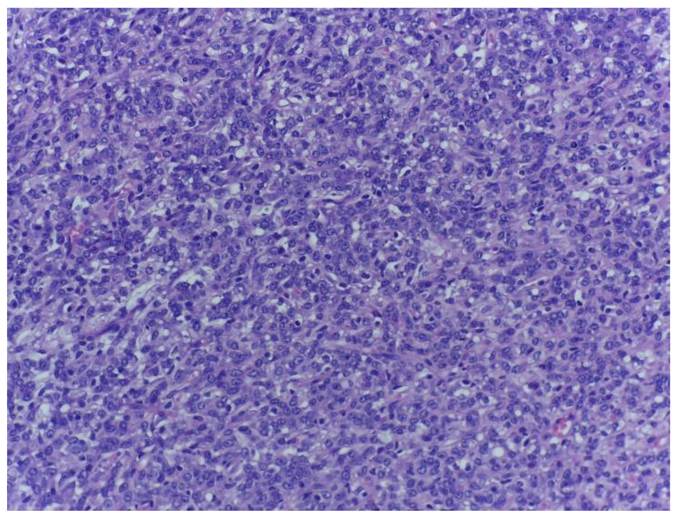 Medicina 59 00967 g004