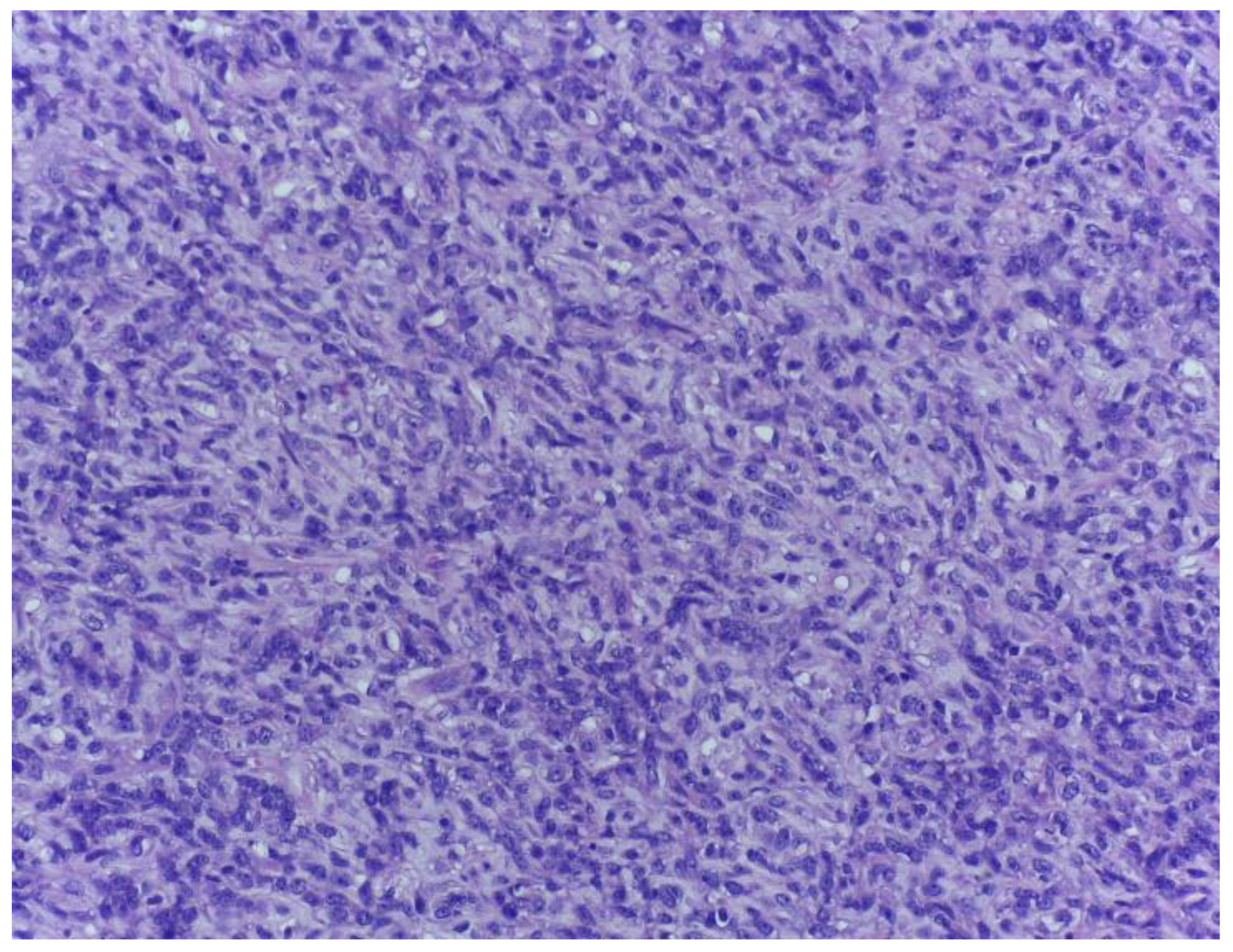 Medicina 59 00967 g005