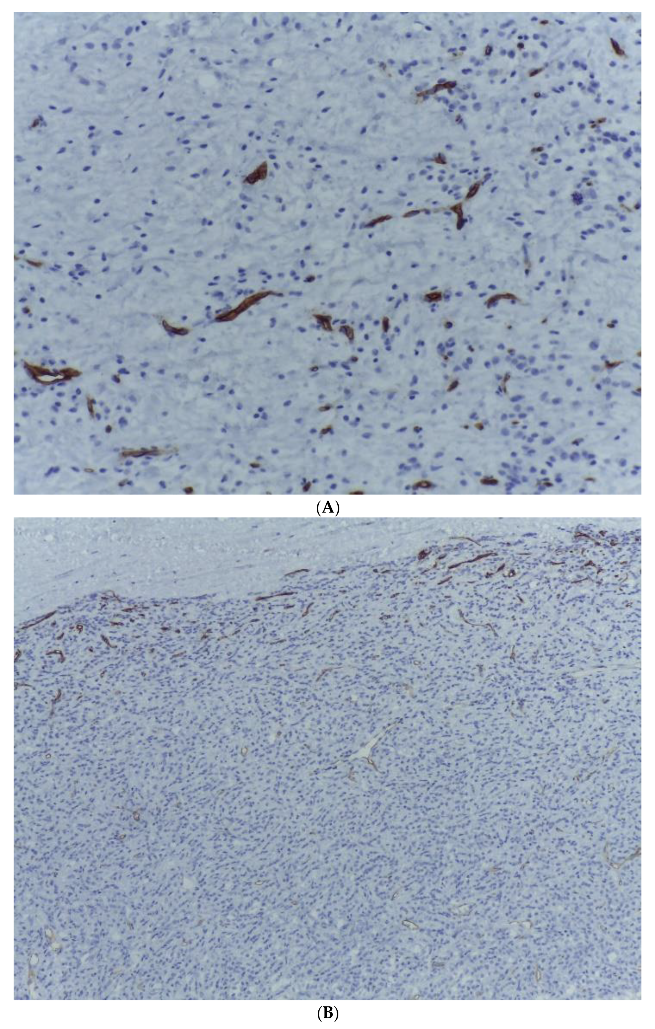 Medicina 59 00967 g009