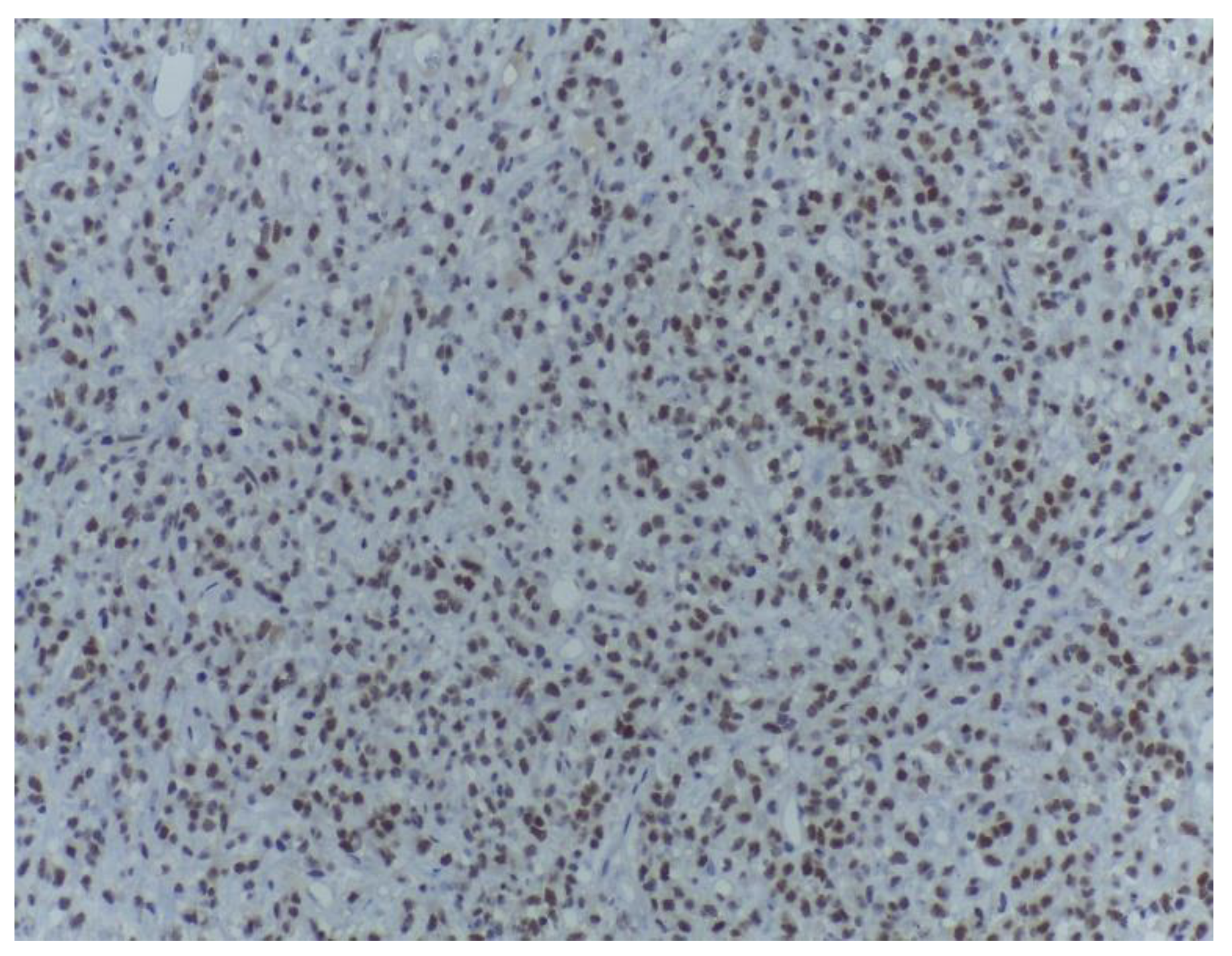 Medicina 59 00967 g012