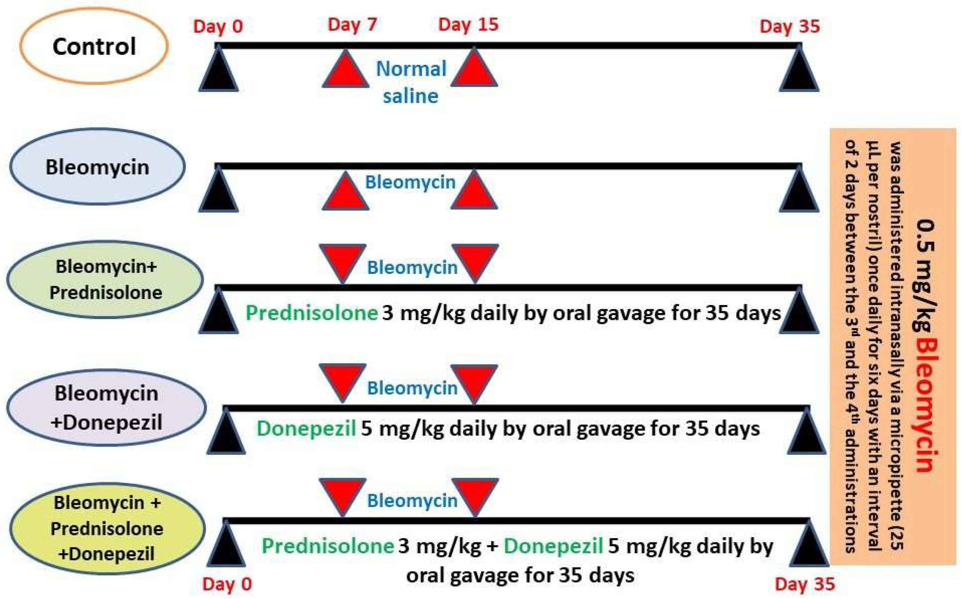Medicina 59 00980 g001