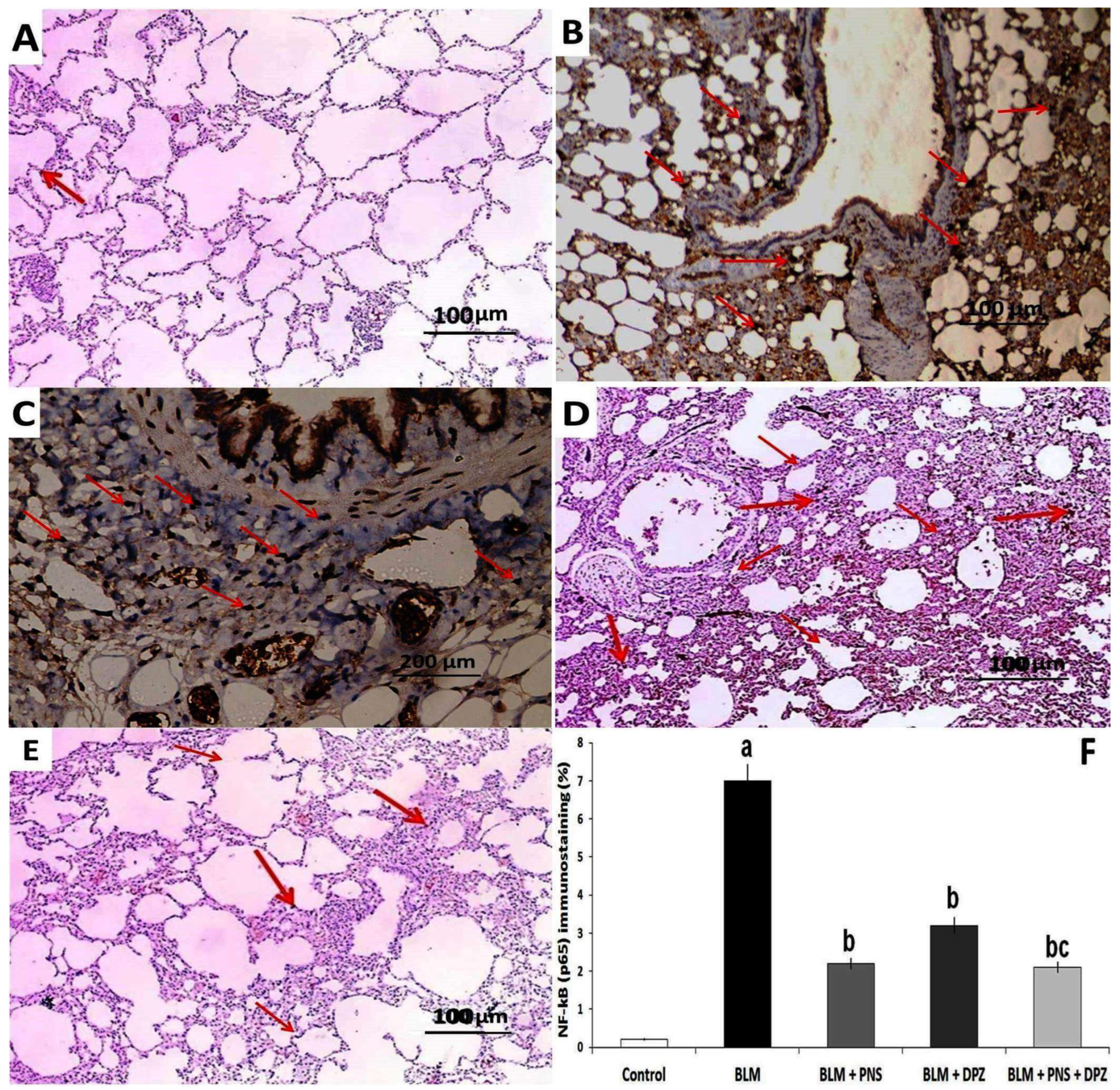 Medicina 59 00980 g007