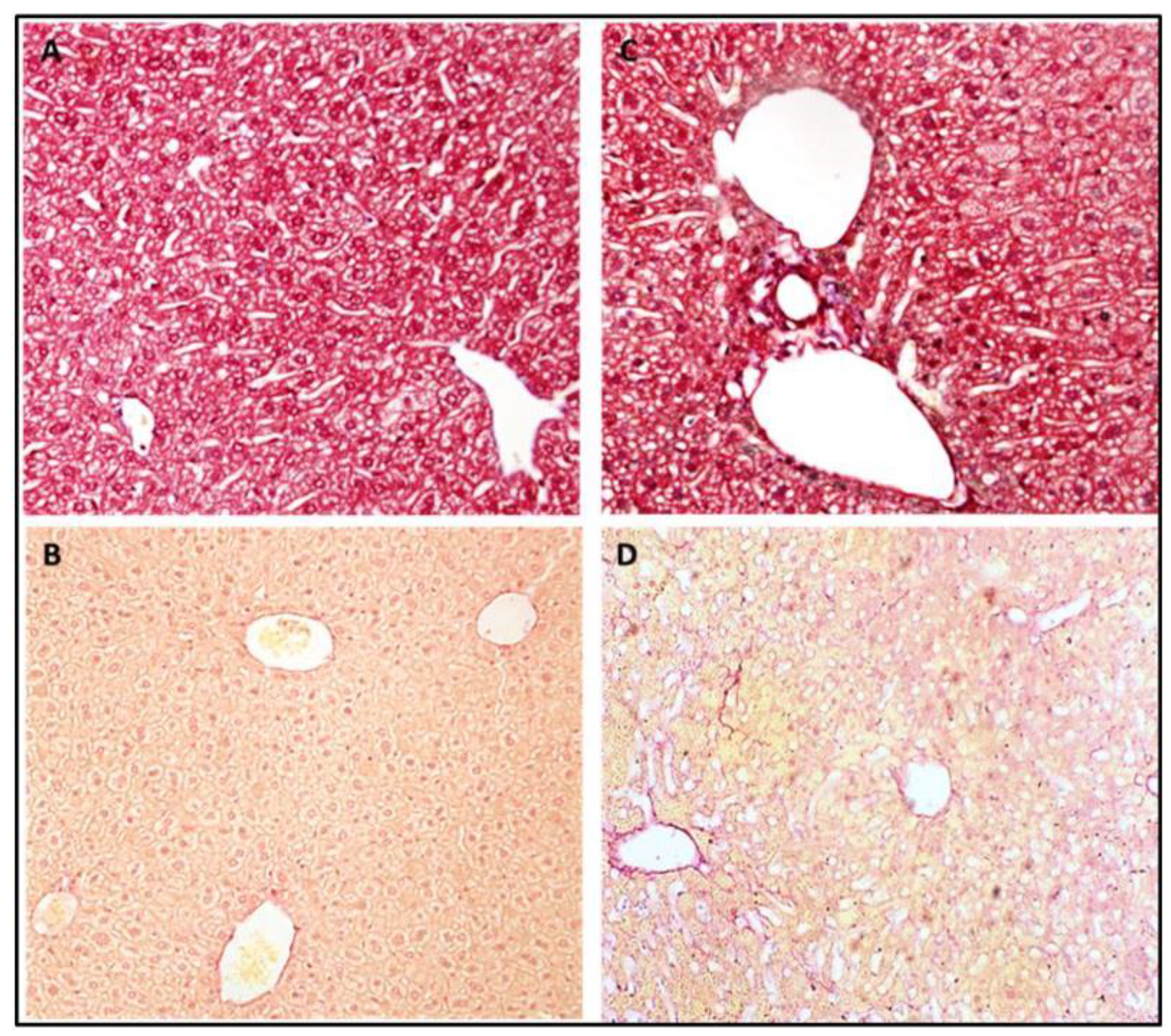 Medicina 59 00983 g004