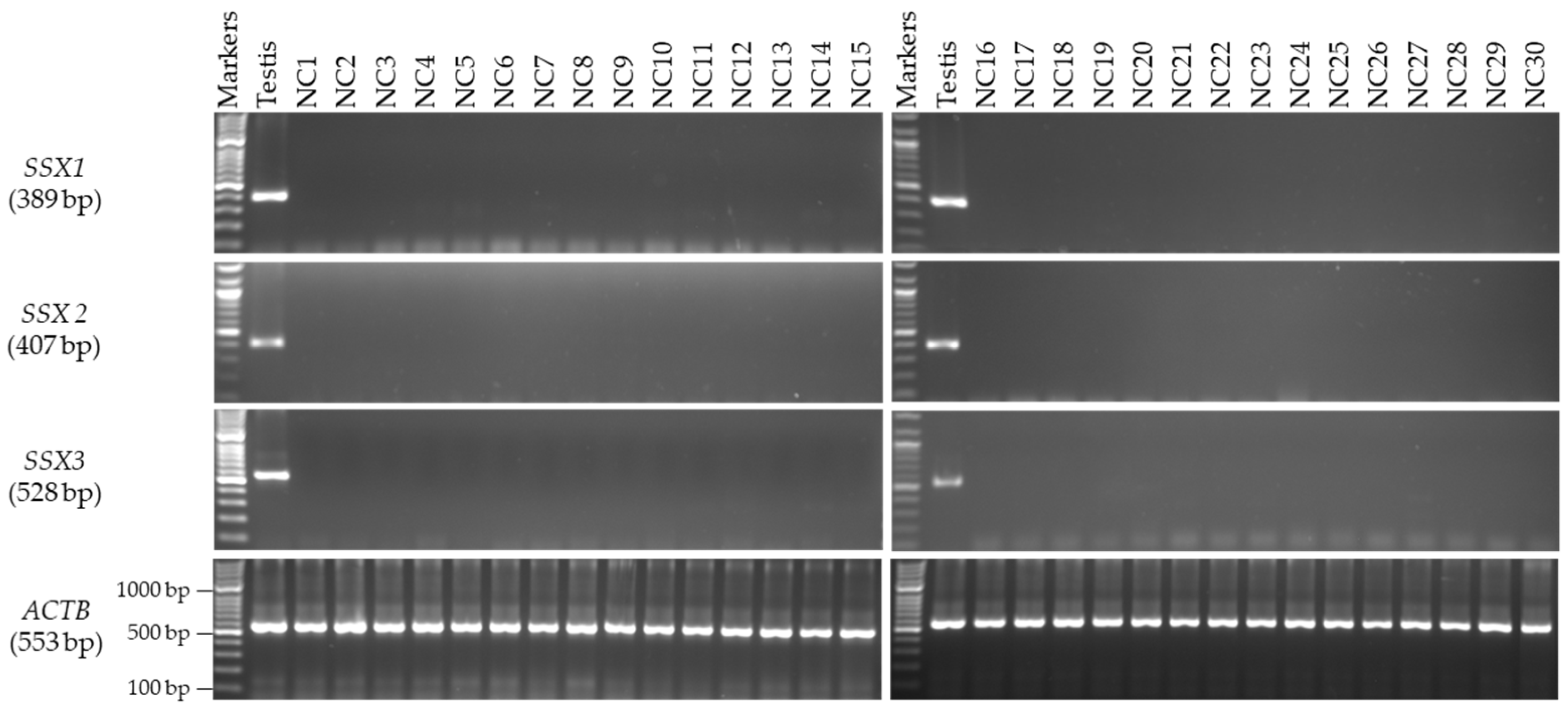 Medicina 59 00988 g001