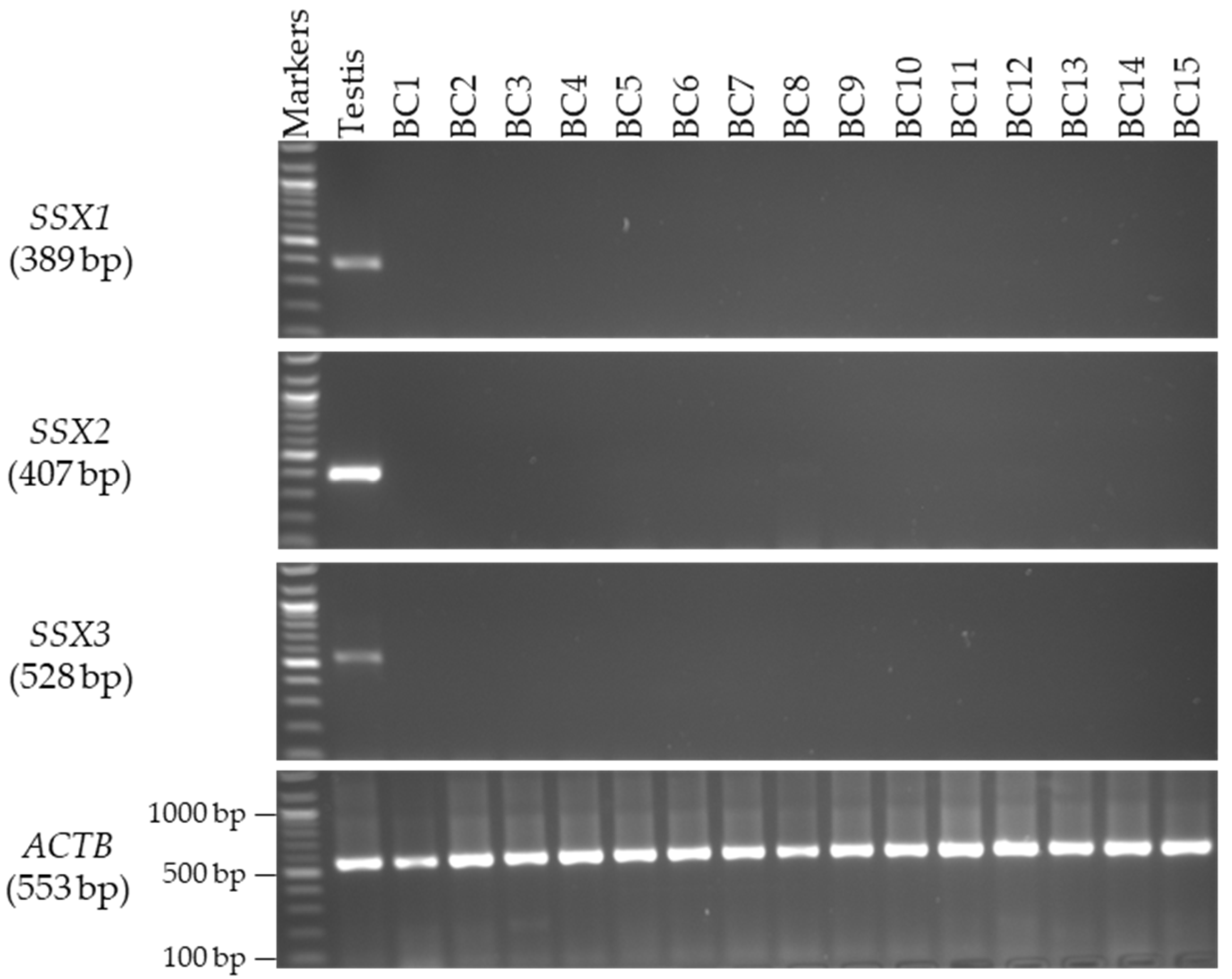 Medicina 59 00988 g006