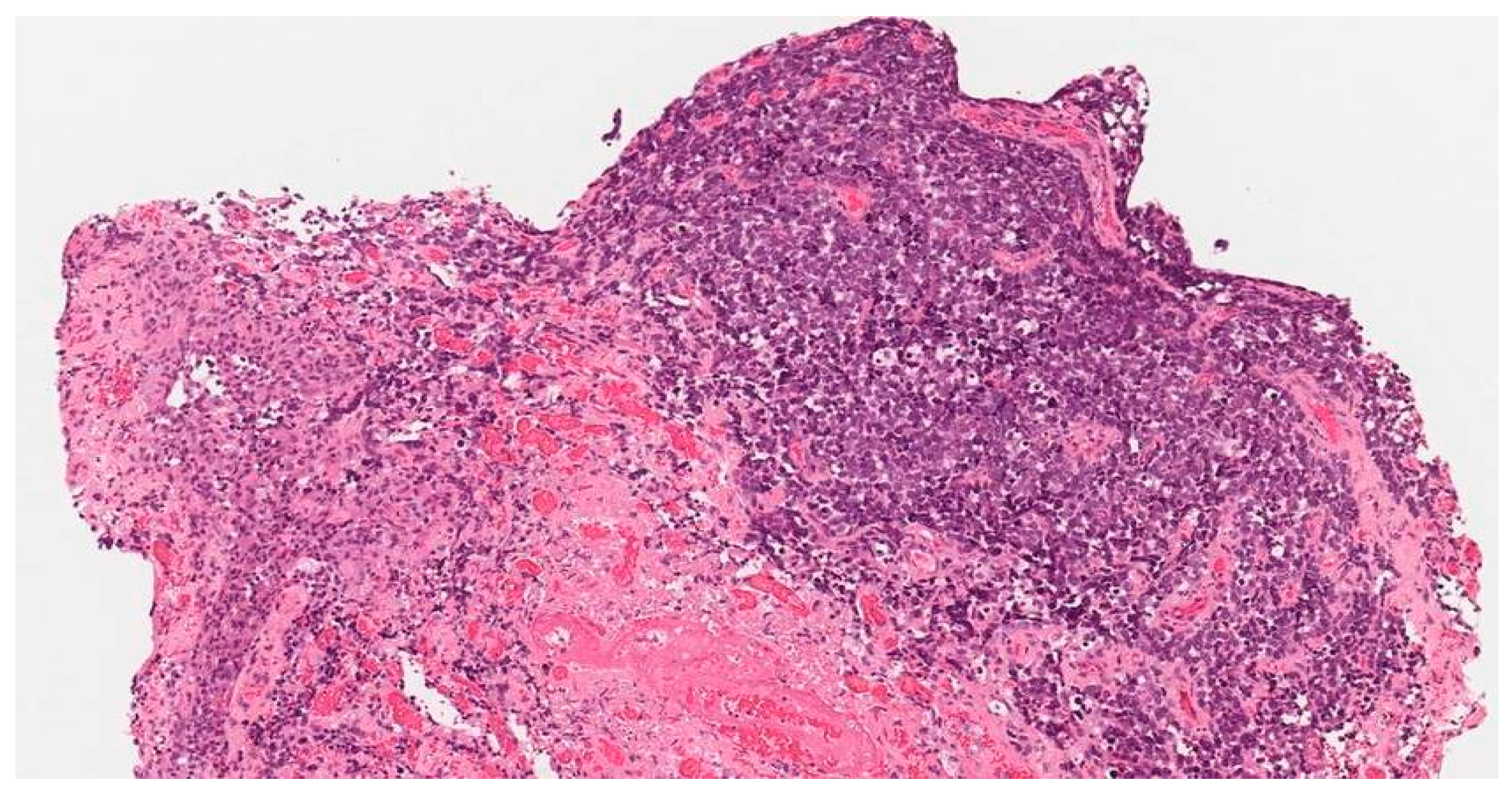 Medicina 59 00995 g001